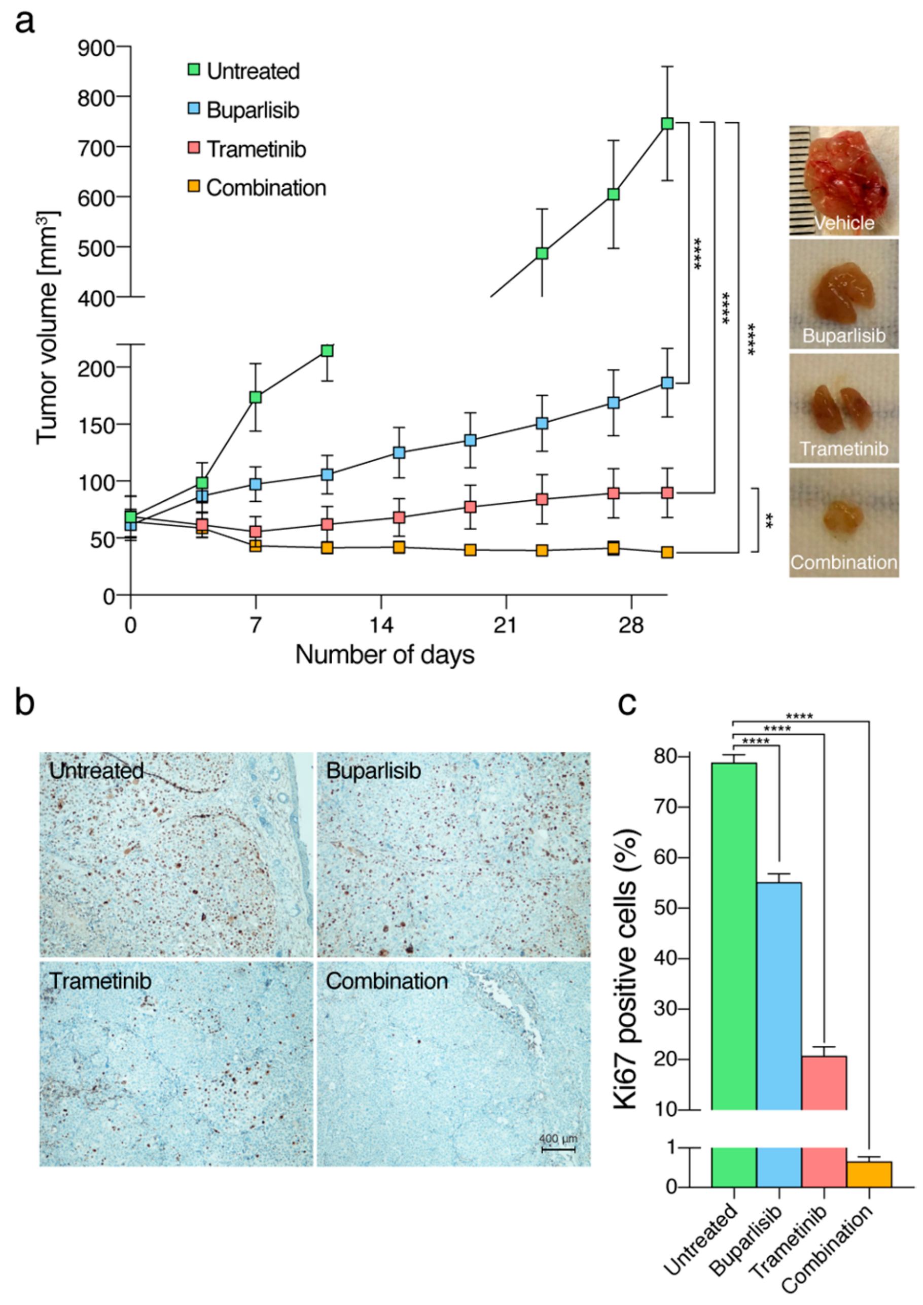 Ijms 20 04235 g007 Ijms 20 04235 g007