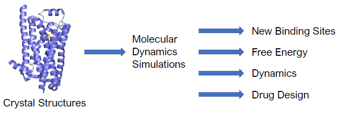 IJMS, Free Full-Text