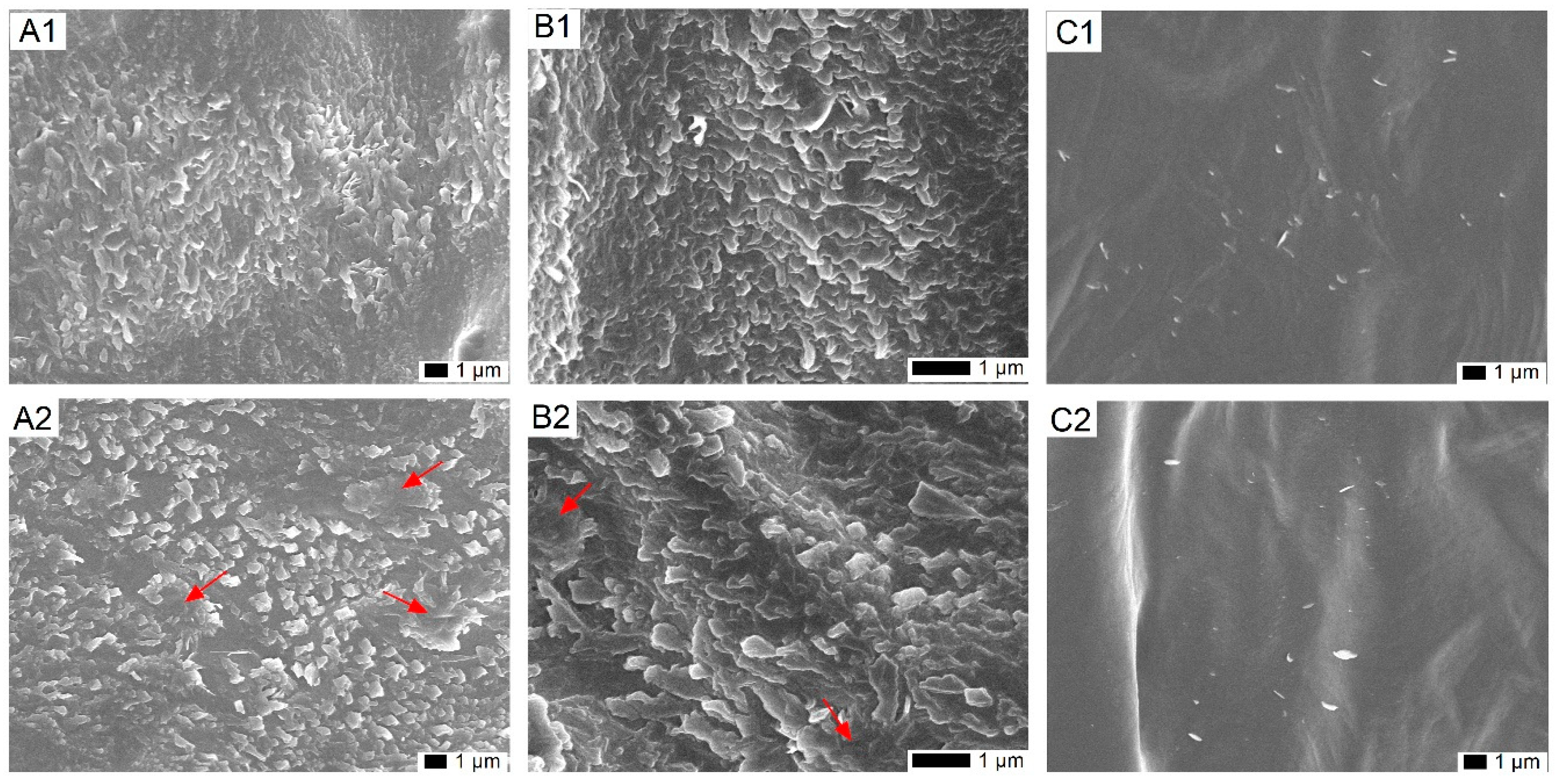Ijms 20 04519 g001 Ijms 20 04519 g001