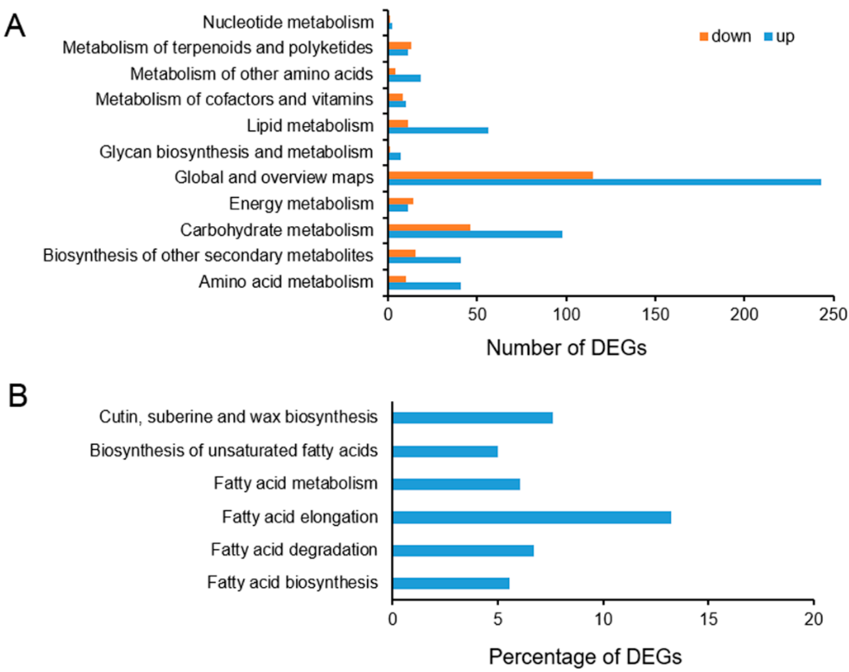 Ijms 20 04519 g005 Ijms 20 04519 g005