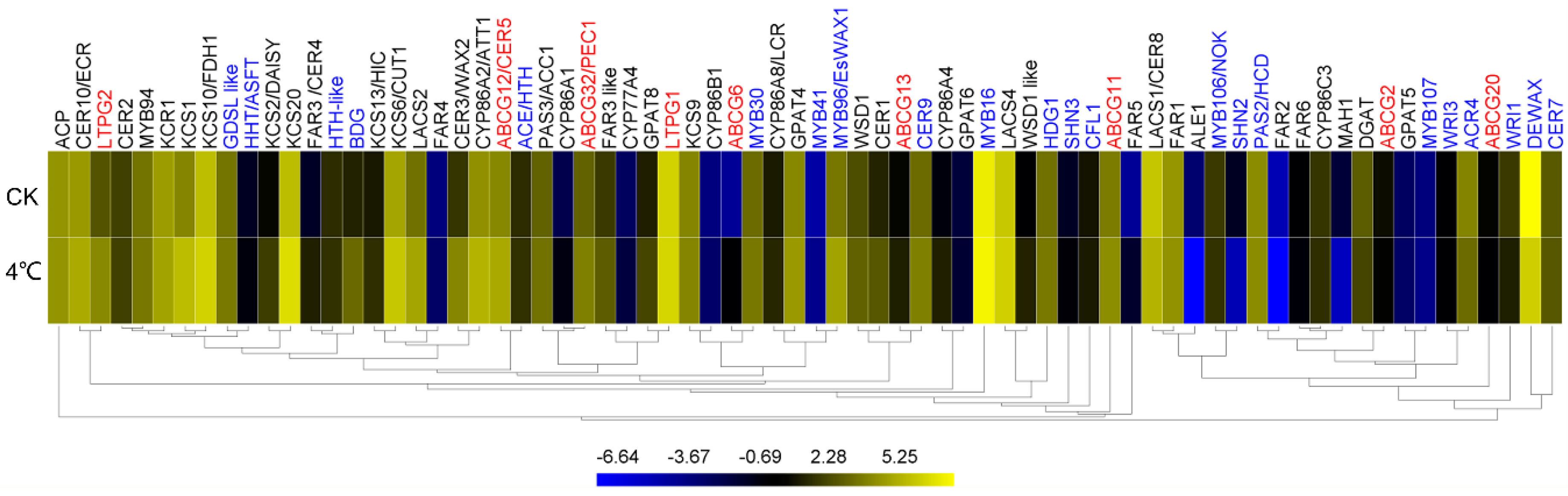 Ijms 20 04519 g007 Ijms 20 04519 g007