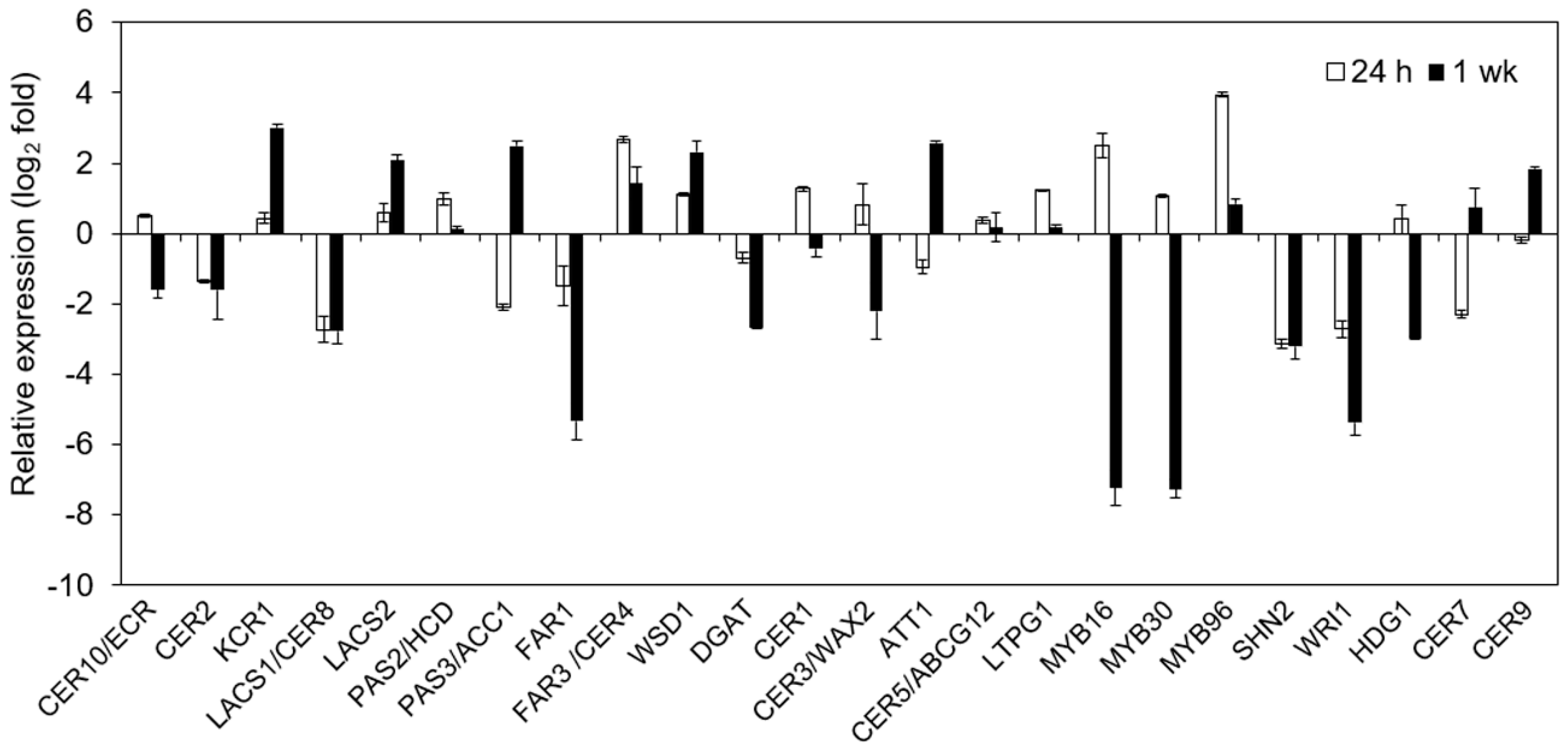 Ijms 20 04519 g008 Ijms 20 04519 g008