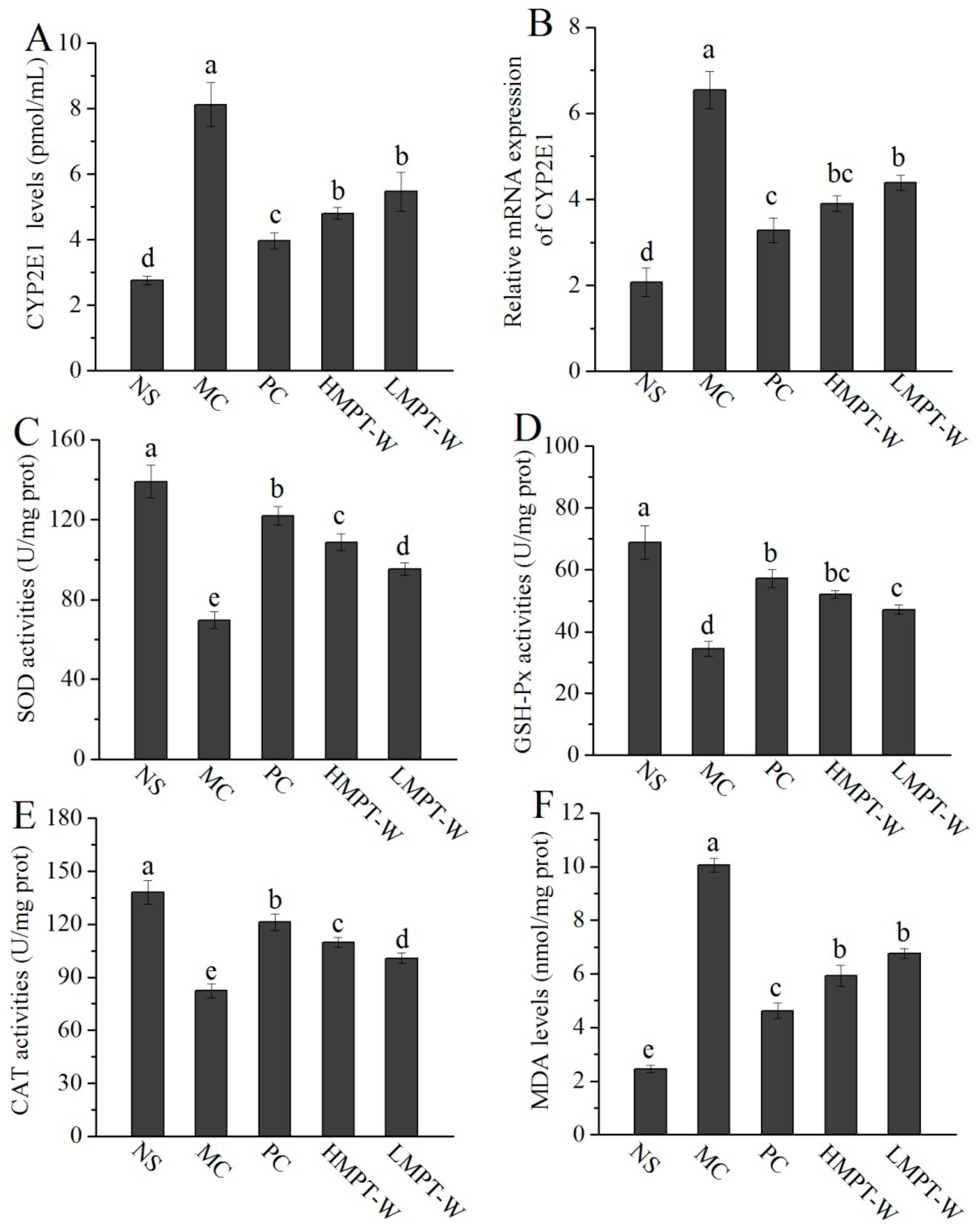 Ijms 20 04872 g004 Ijms 20 04872 g004