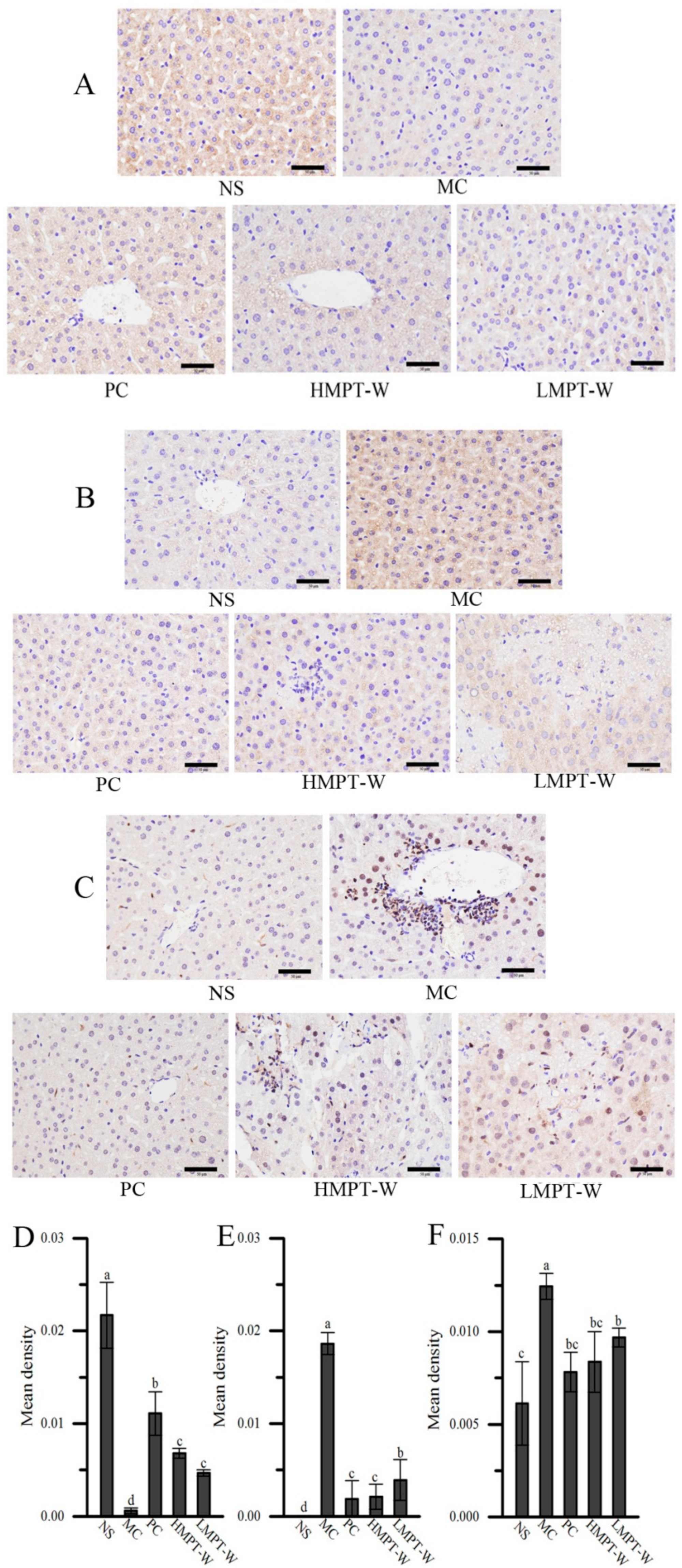 Ijms 20 04872 g009 Ijms 20 04872 g009