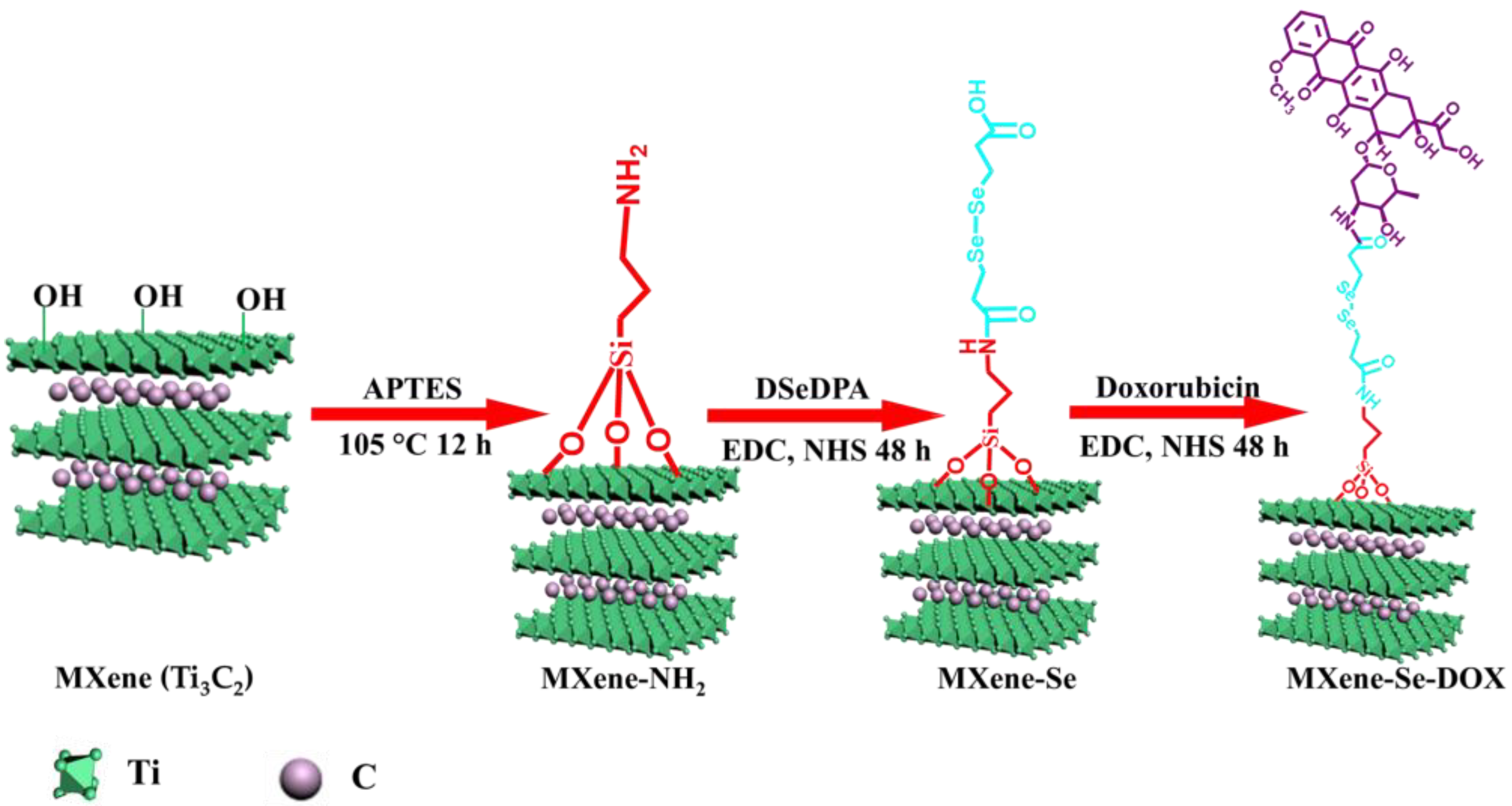 Ijms 23 14925 sch001