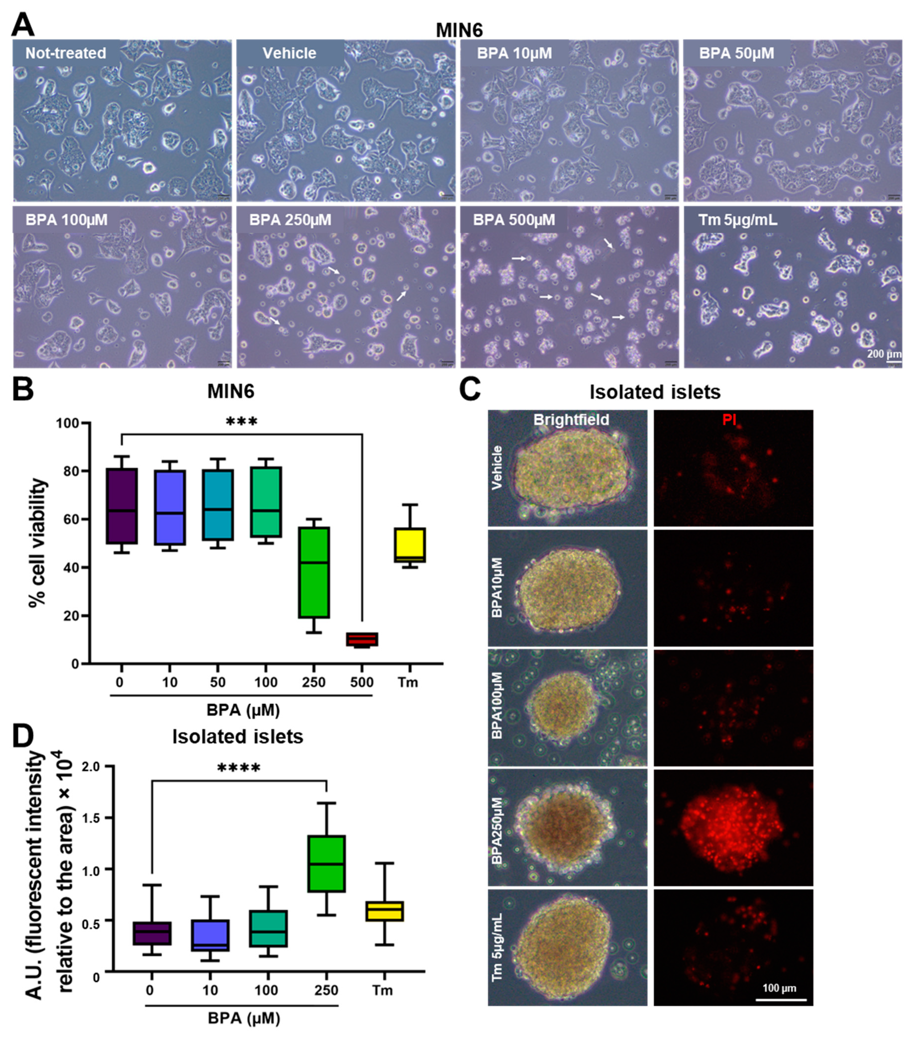 Ijms 24 02023 g001 Ijms 24 02023 g001