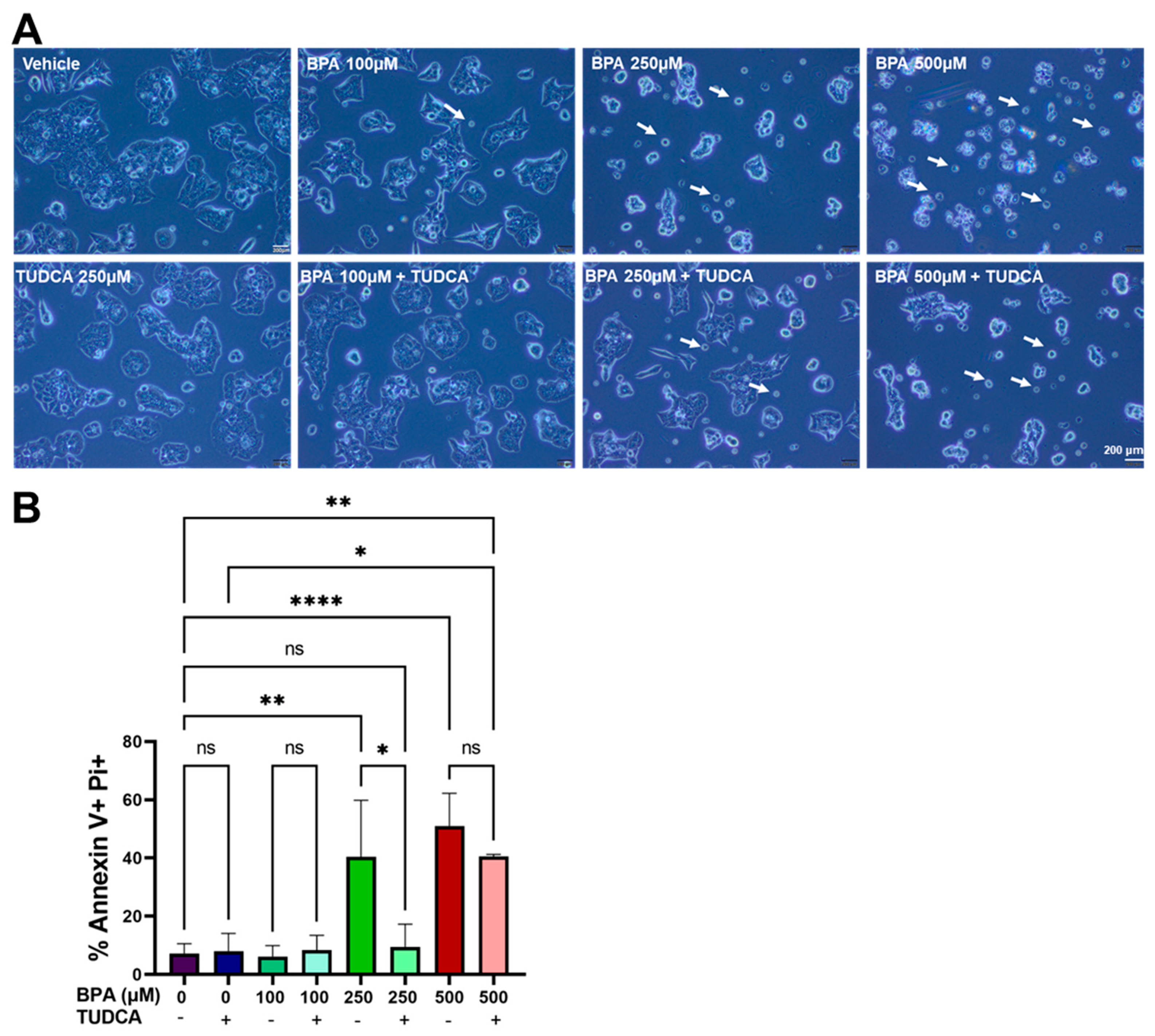 Ijms 24 02023 g005 Ijms 24 02023 g005