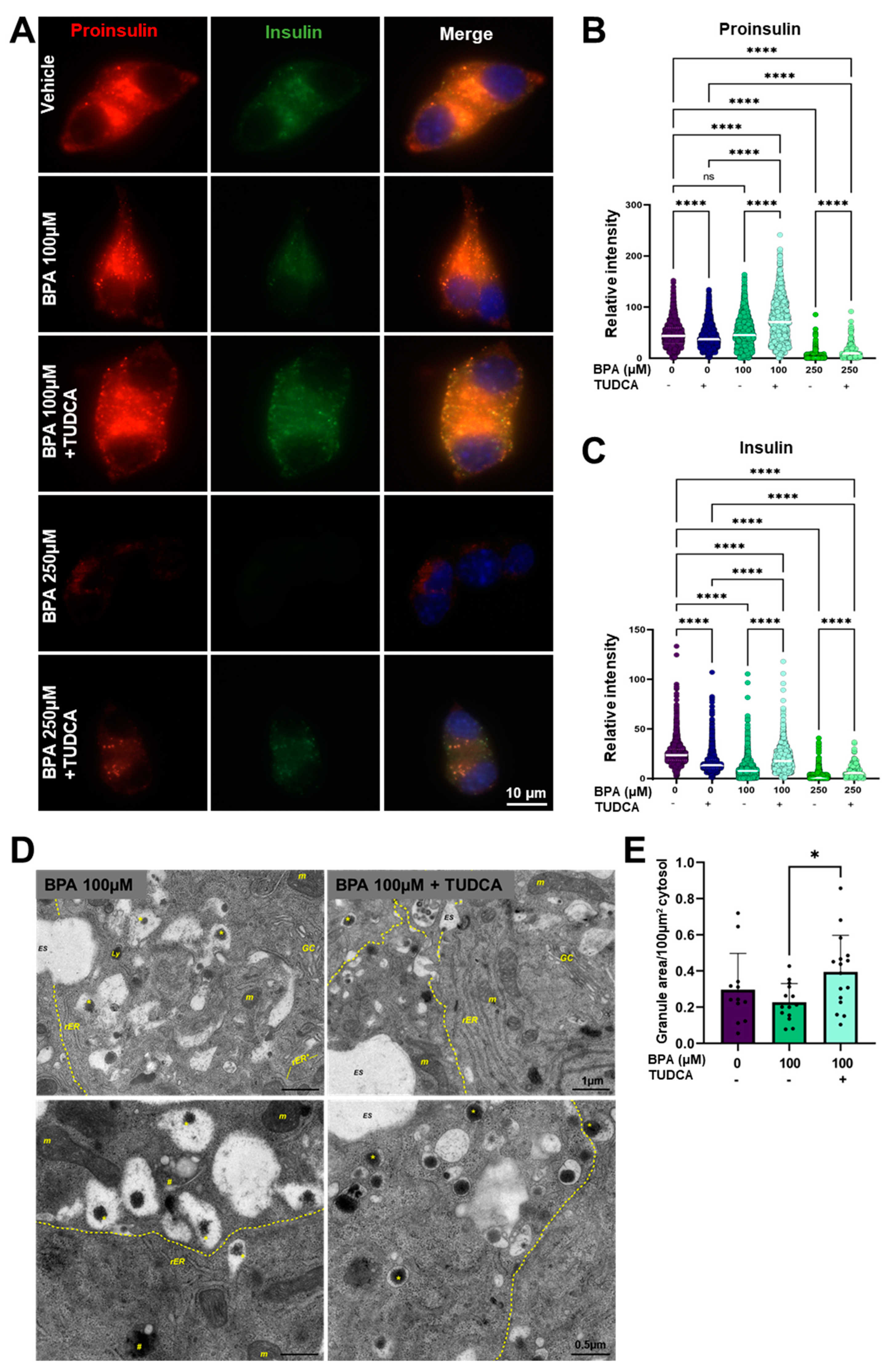 Ijms 24 02023 g007 Ijms 24 02023 g007