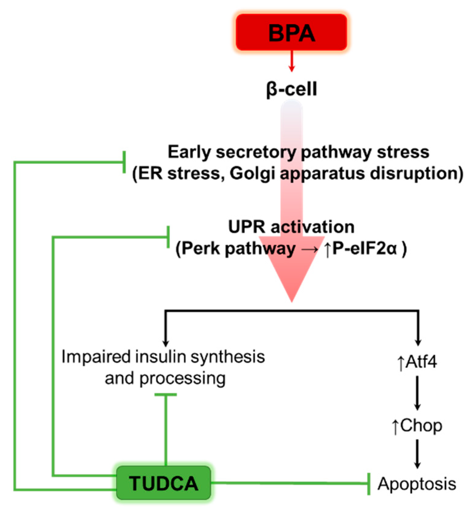 Ijms 24 02023 g008 Ijms 24 02023 g008