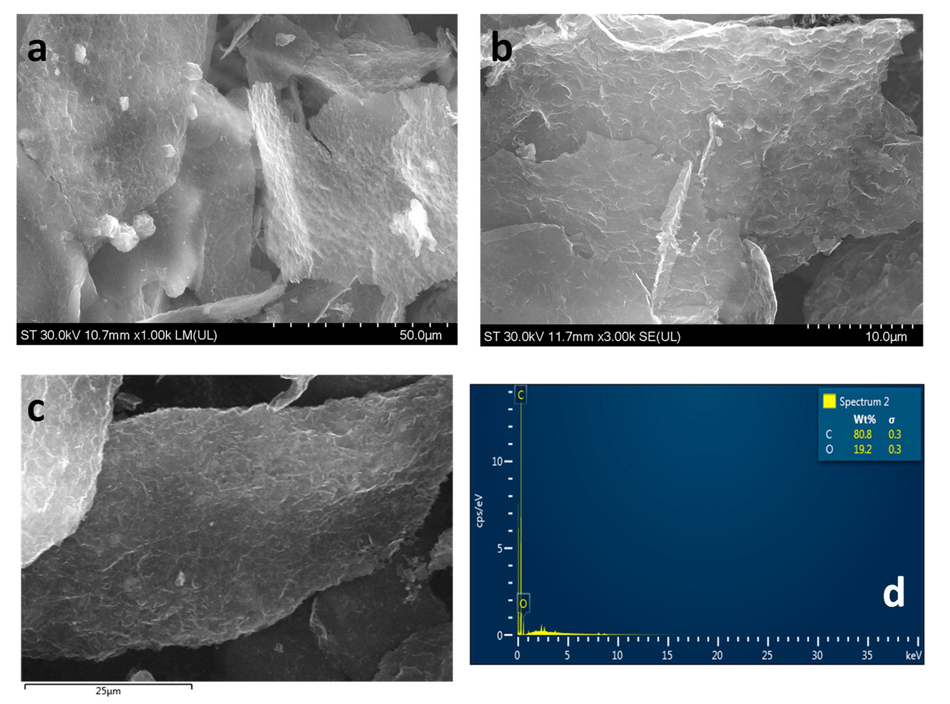 Ijms 25 03691 g001 Ijms 25 03691 g001