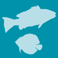 fishes-logo