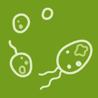 life-logo