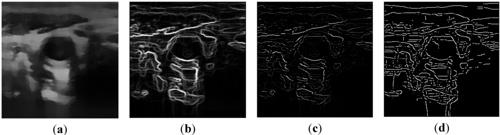 Informatics 01 00052 g005 1024