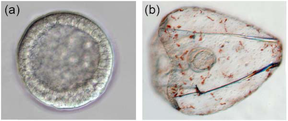 Information 02 00102f1 1024