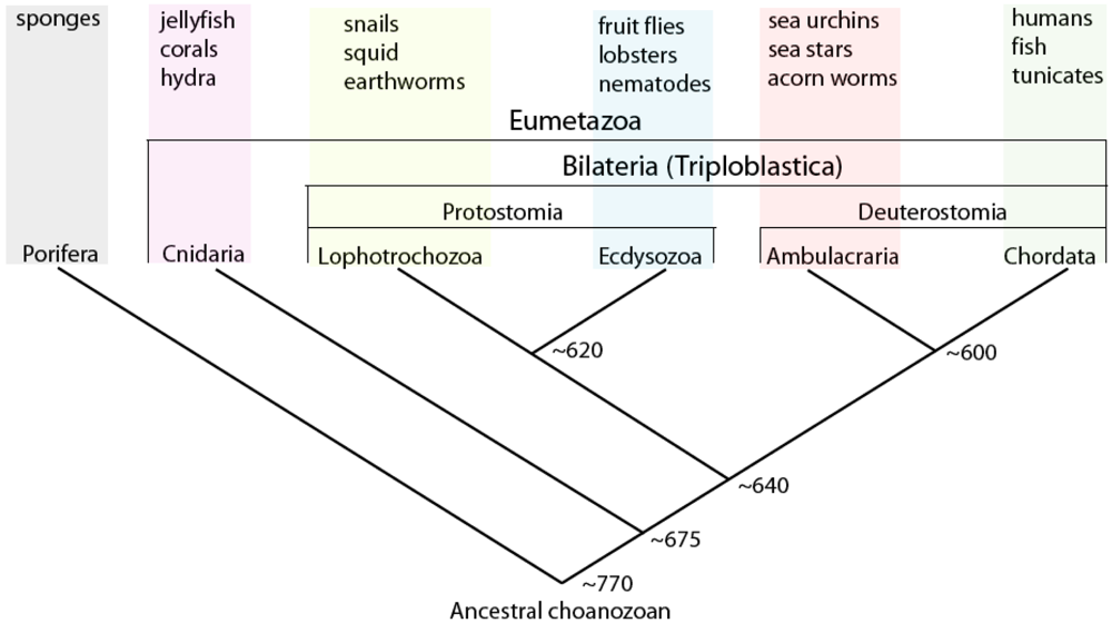Information 02 00102f4 1024