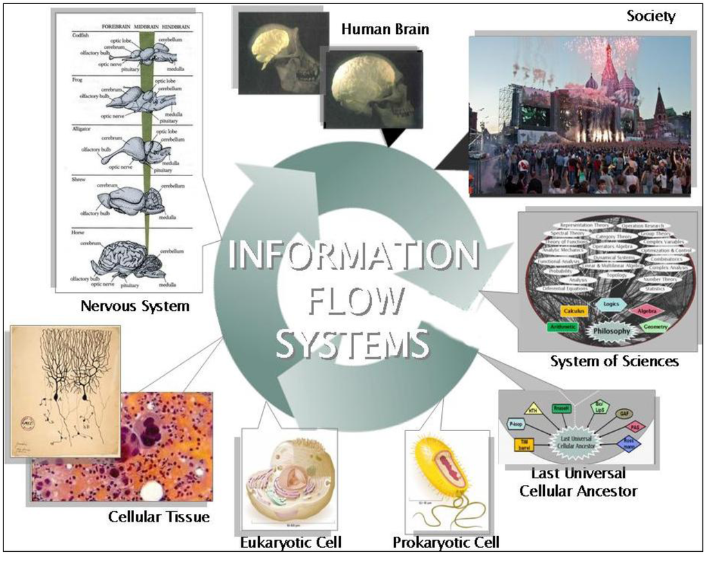 book advances in technological applications of logical and intelligent systems selected papers from the sixth congress on logic