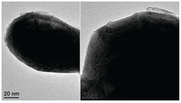 Inorganics 02 00177 g006 200