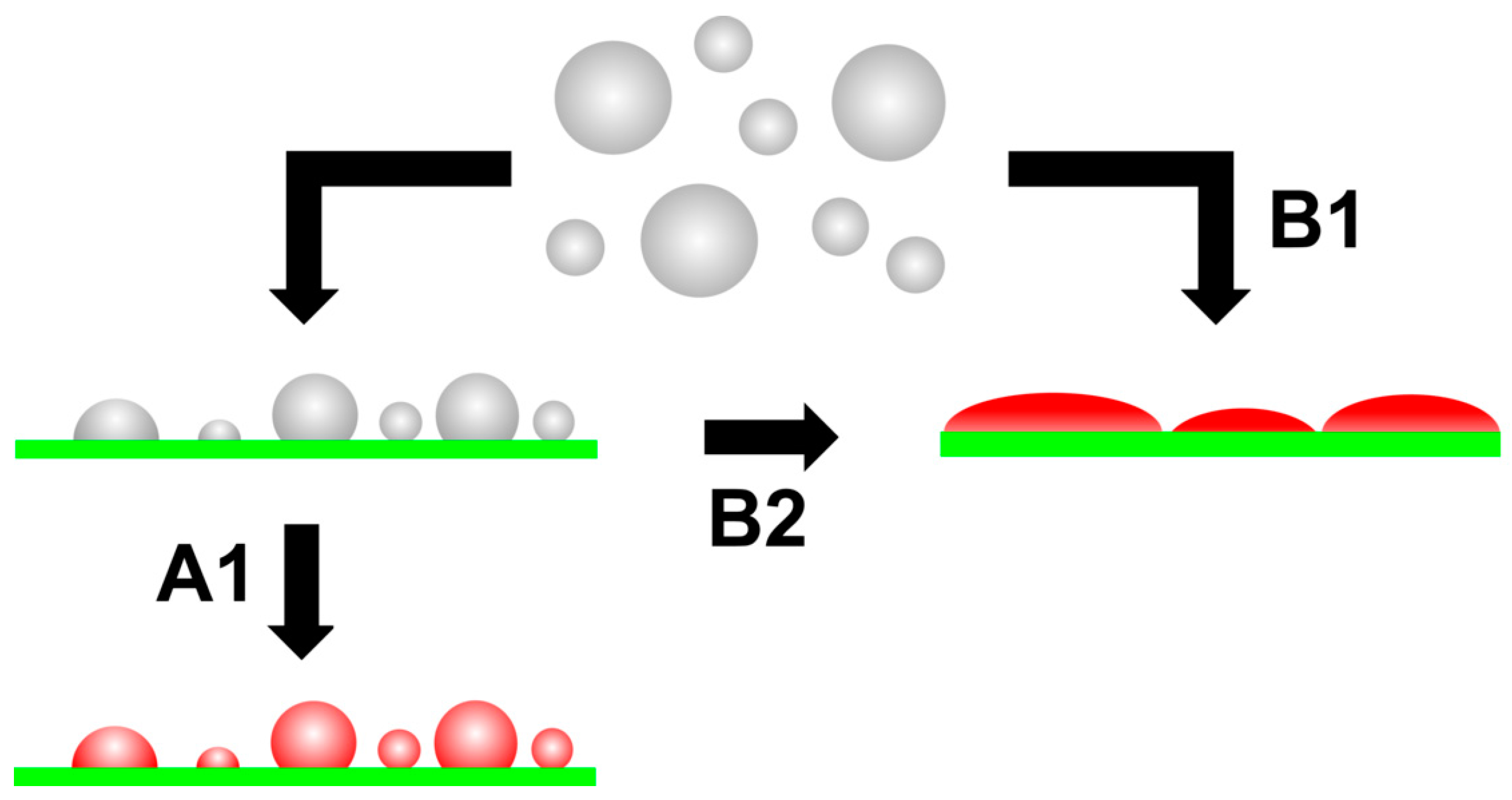 download lights on the science of