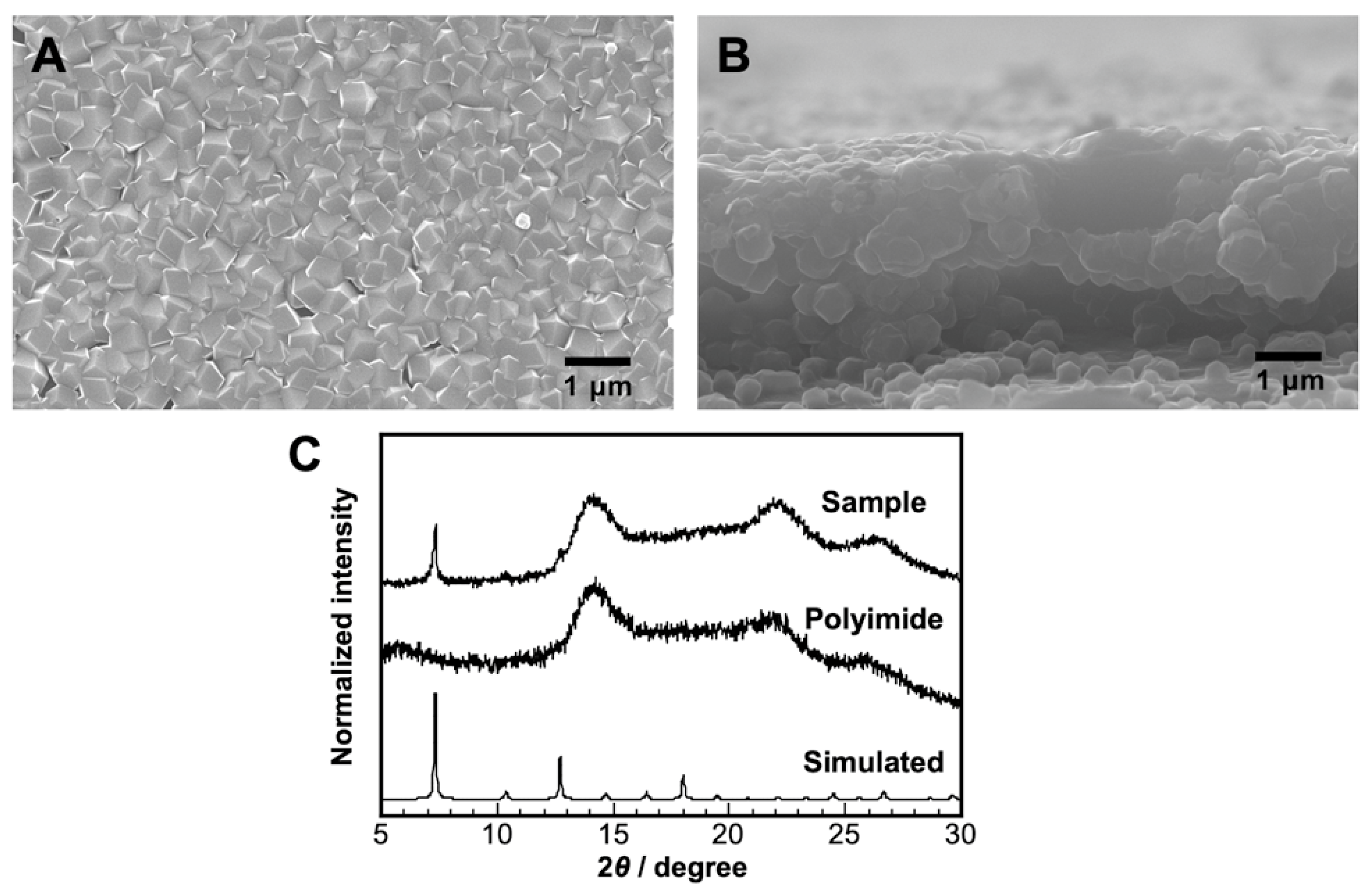 Inorganics 12 00021 g001