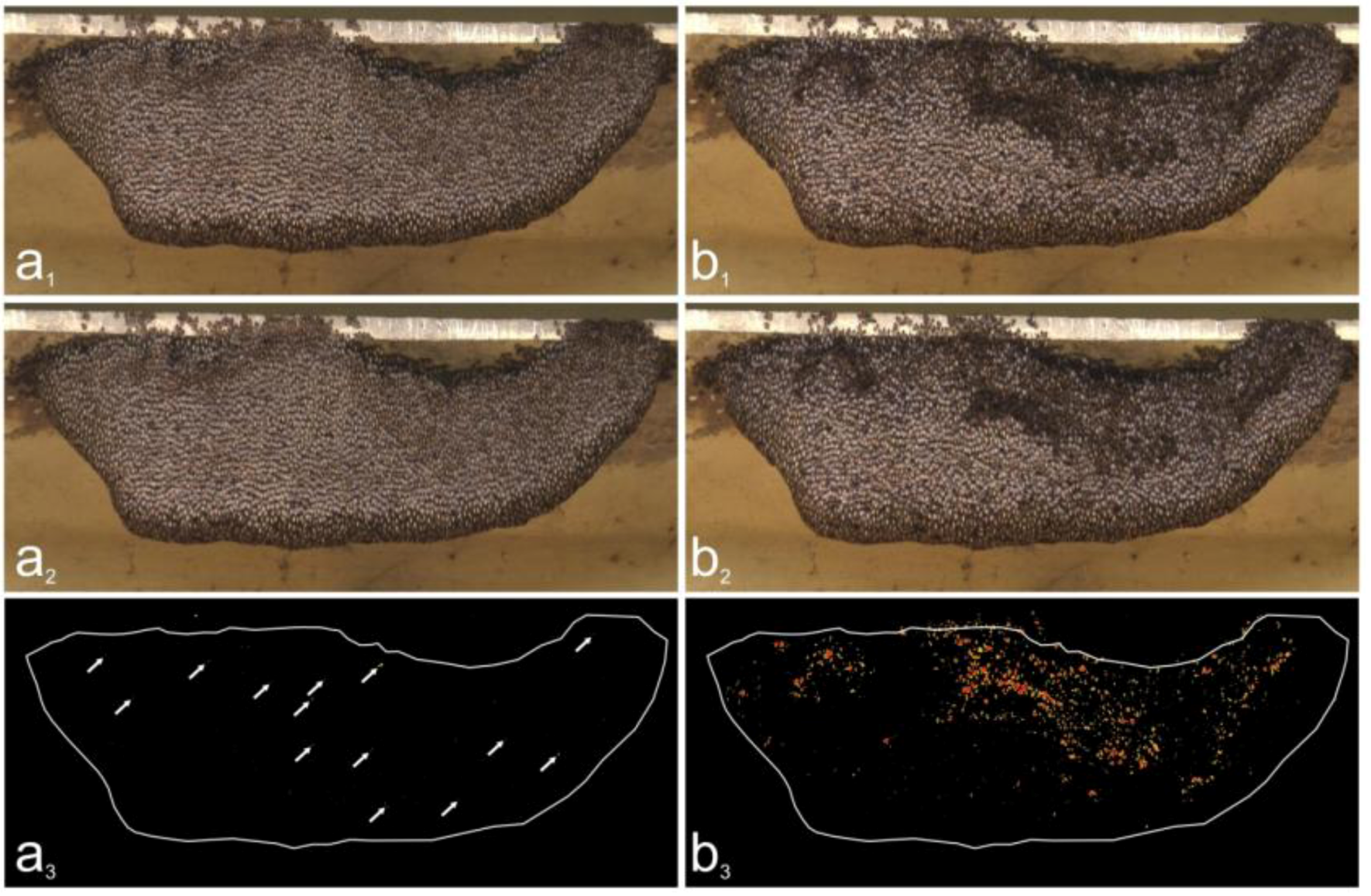 Insects 03 00833 g003