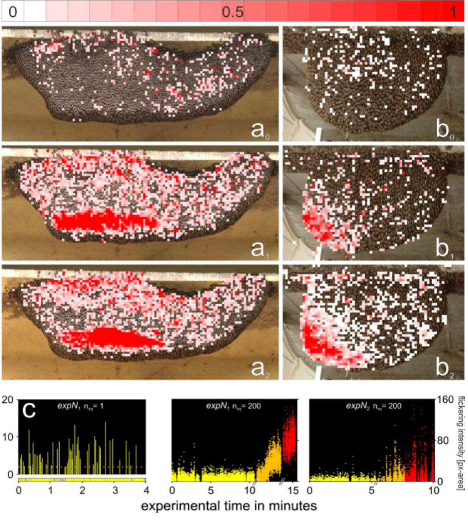 Insects 03 00833 g005