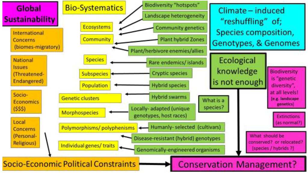 essay writing on environmental conservation essay writing on environmental conservation