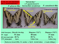 Insects 05 00001 g011 200