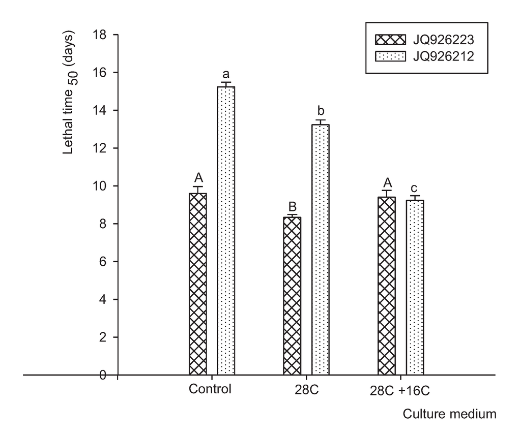 an analysis of the topic of the root canal Root canal therapy treats the pulp of the tooth, which contains the blood and nerve supply of the tooth, when it is infected through decay or. an analysis of the topic of the root canal Root canal therapy treats the pulp of the tooth, which contains the blood and nerve supply of the tooth, when it is infected through decay or.