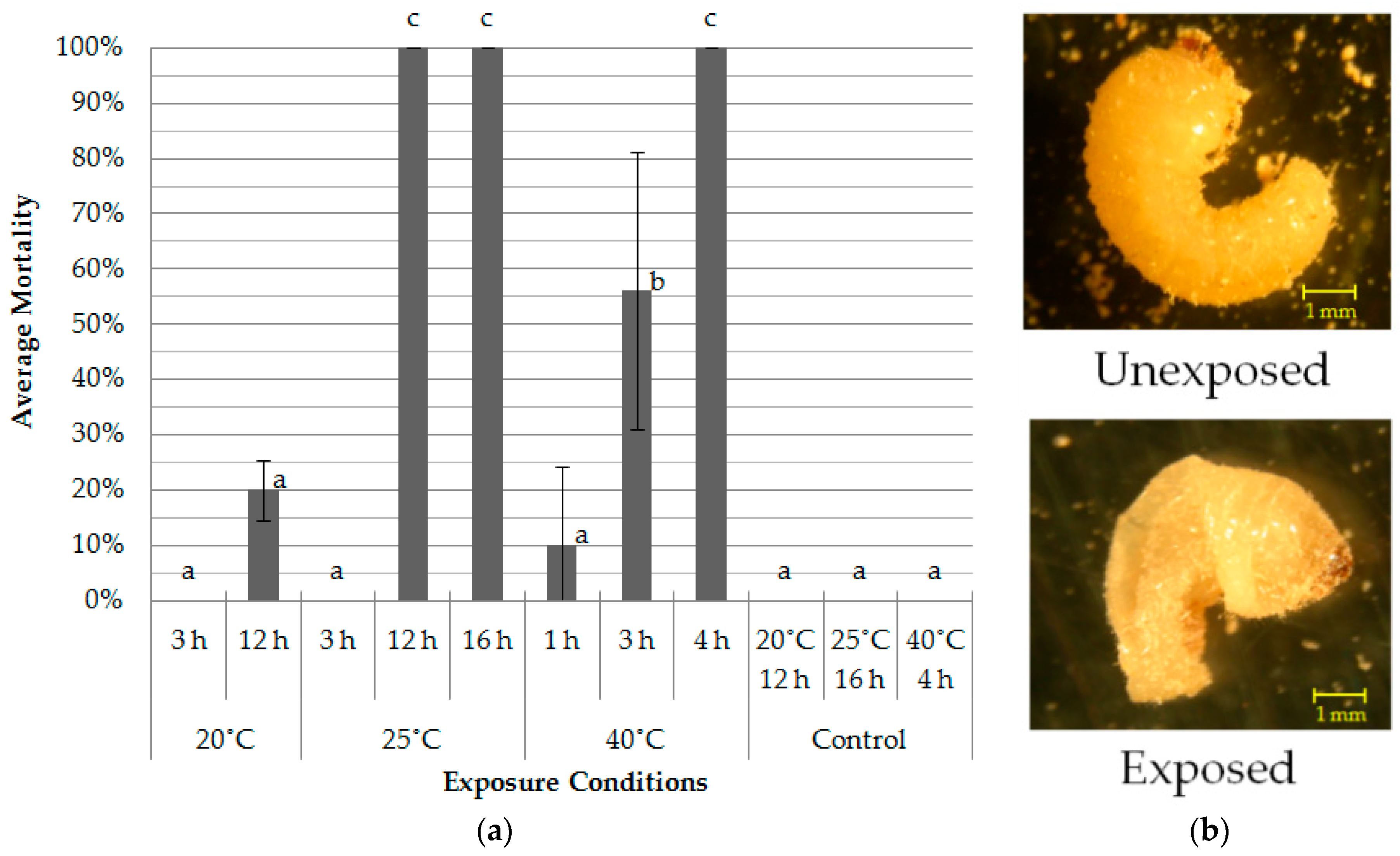 Insects 07 00036 g004