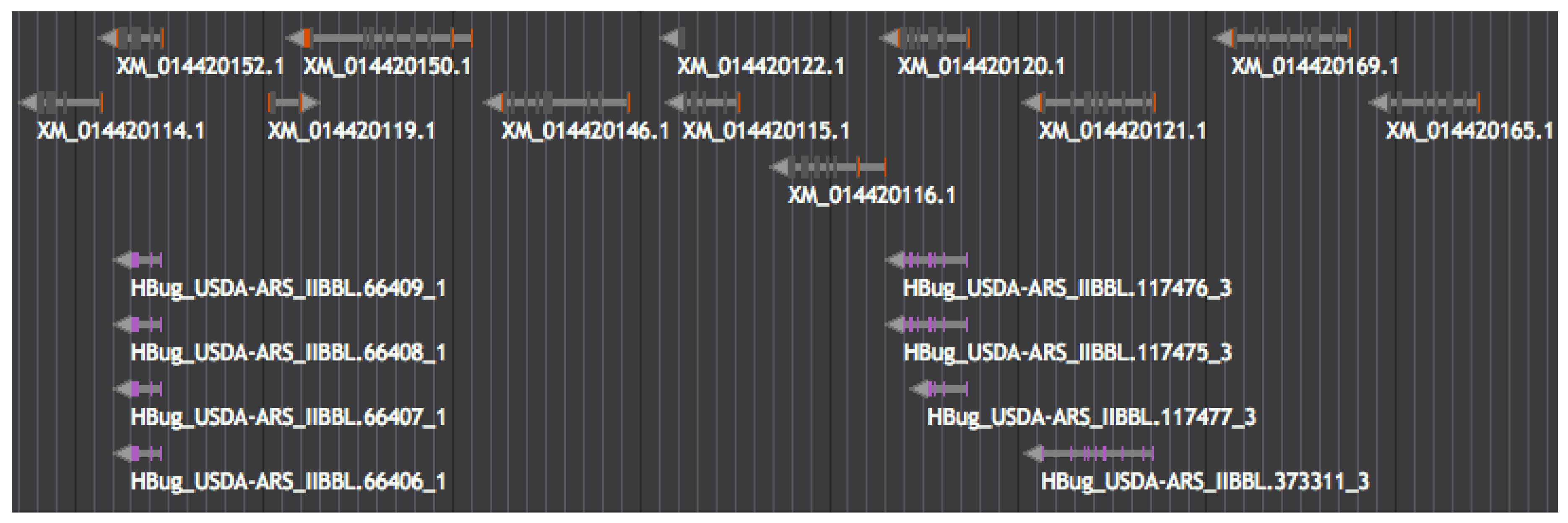 Insects 08 00055 g004