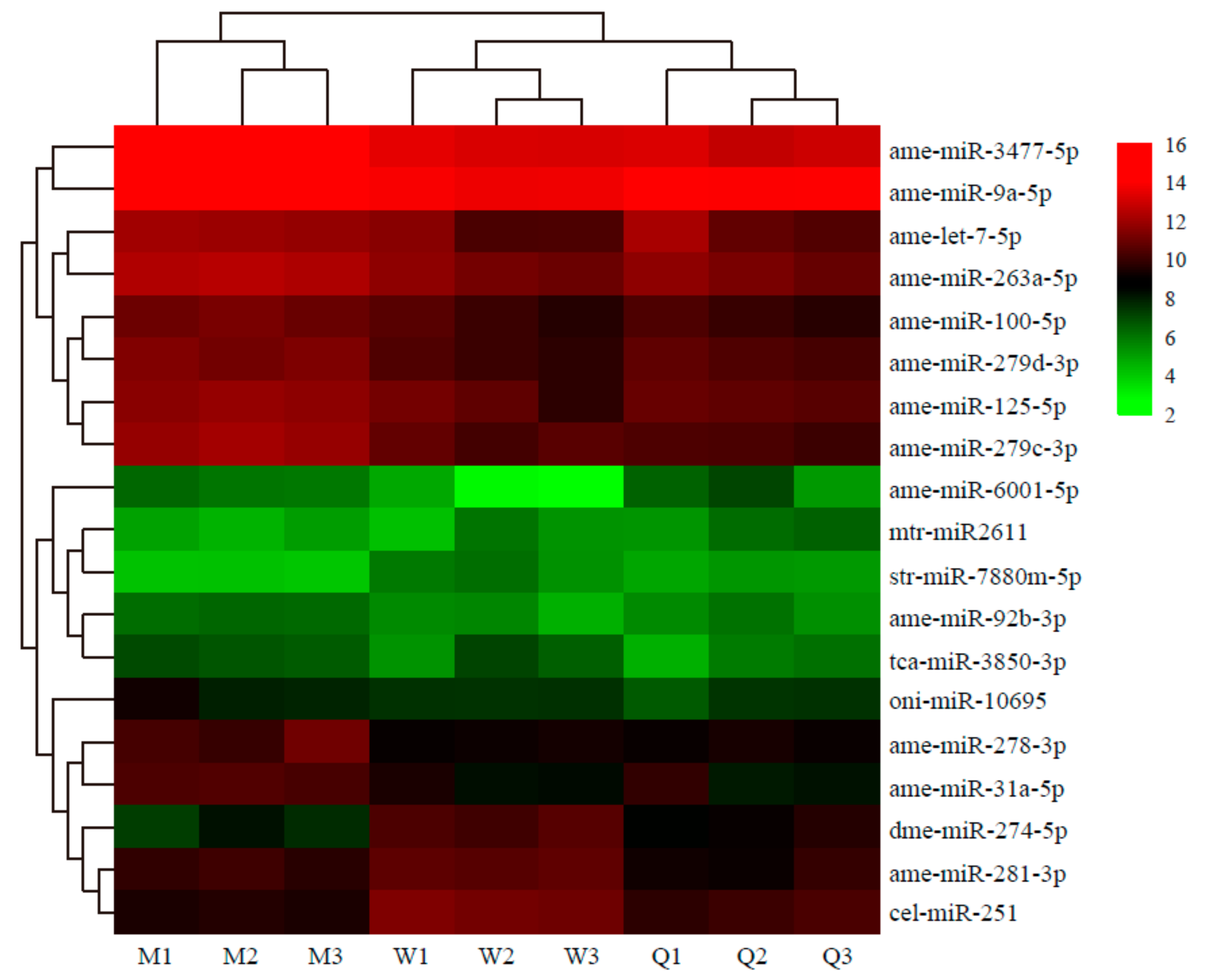 Insects 10 00349 g003