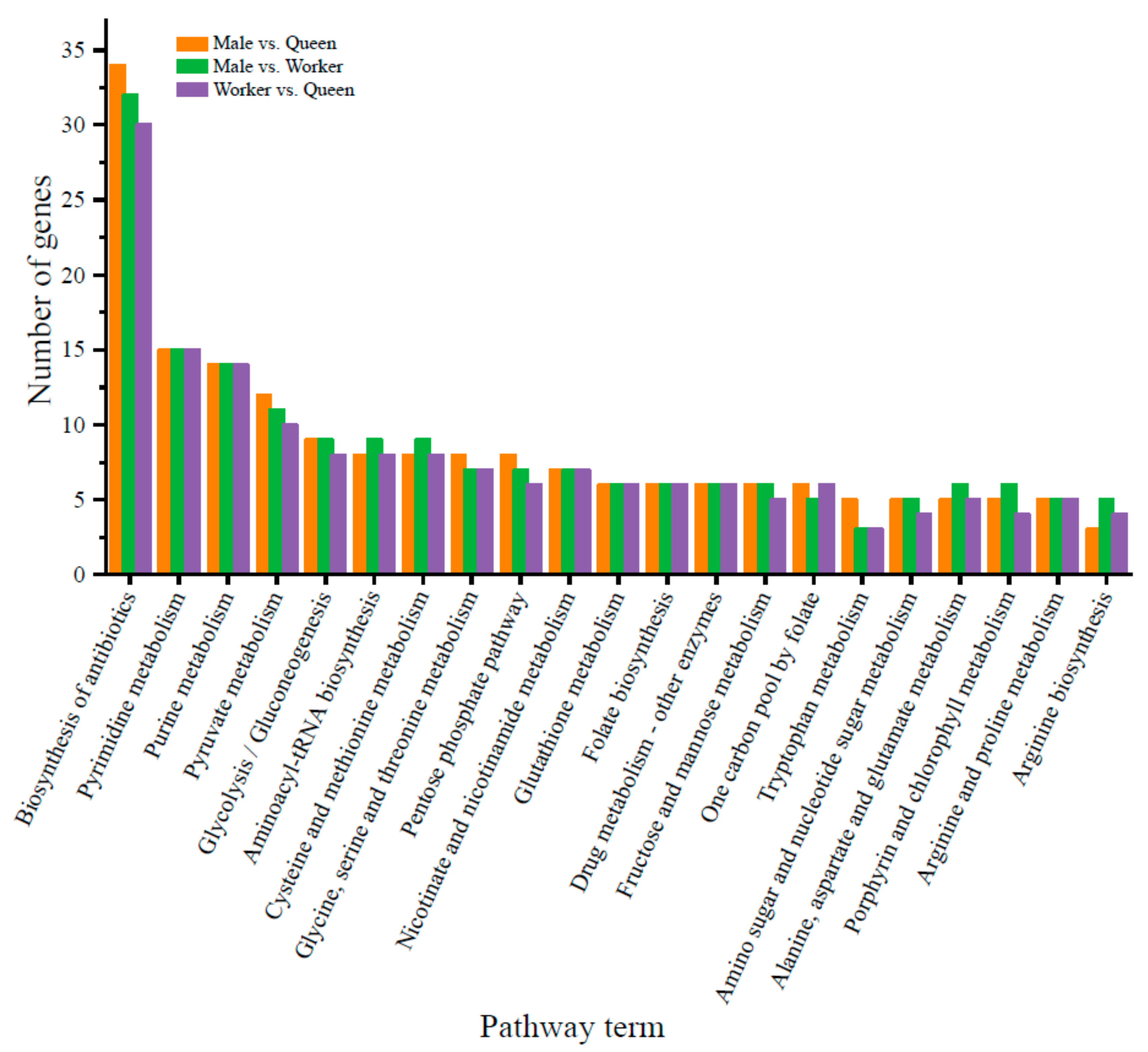 Insects 10 00349 g005