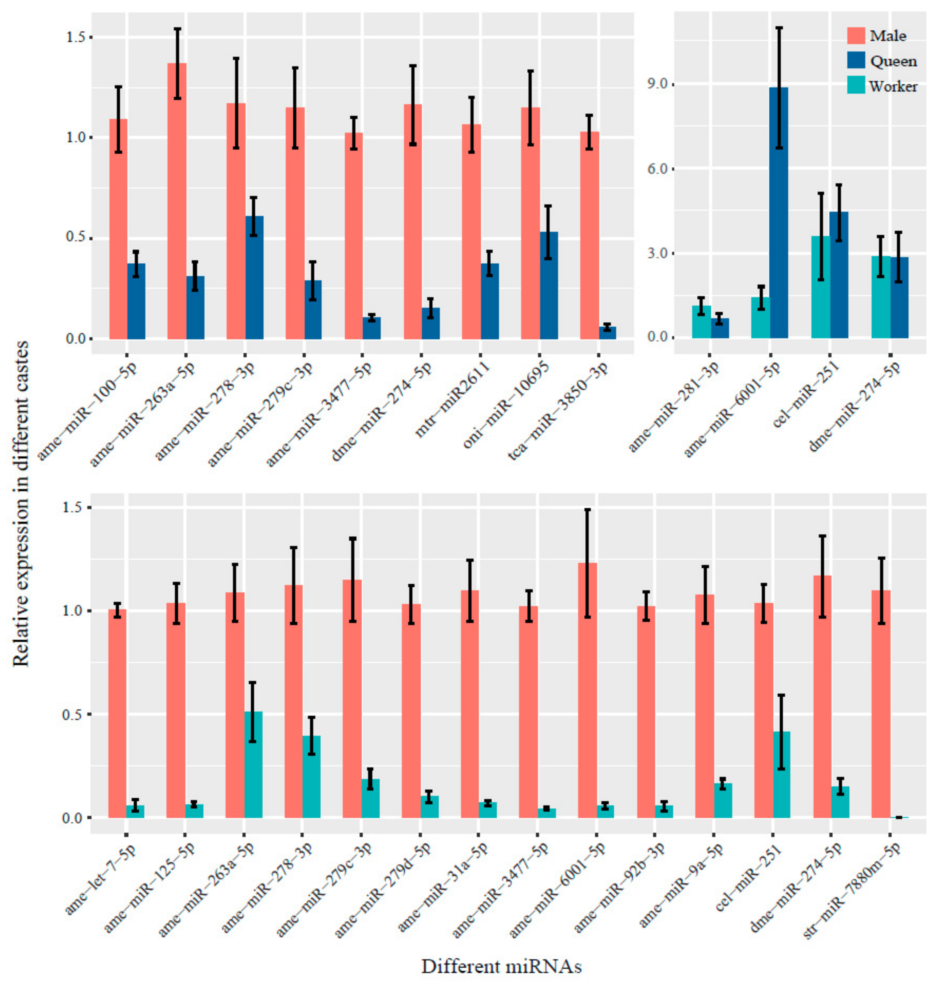 Insects 10 00349 g006
