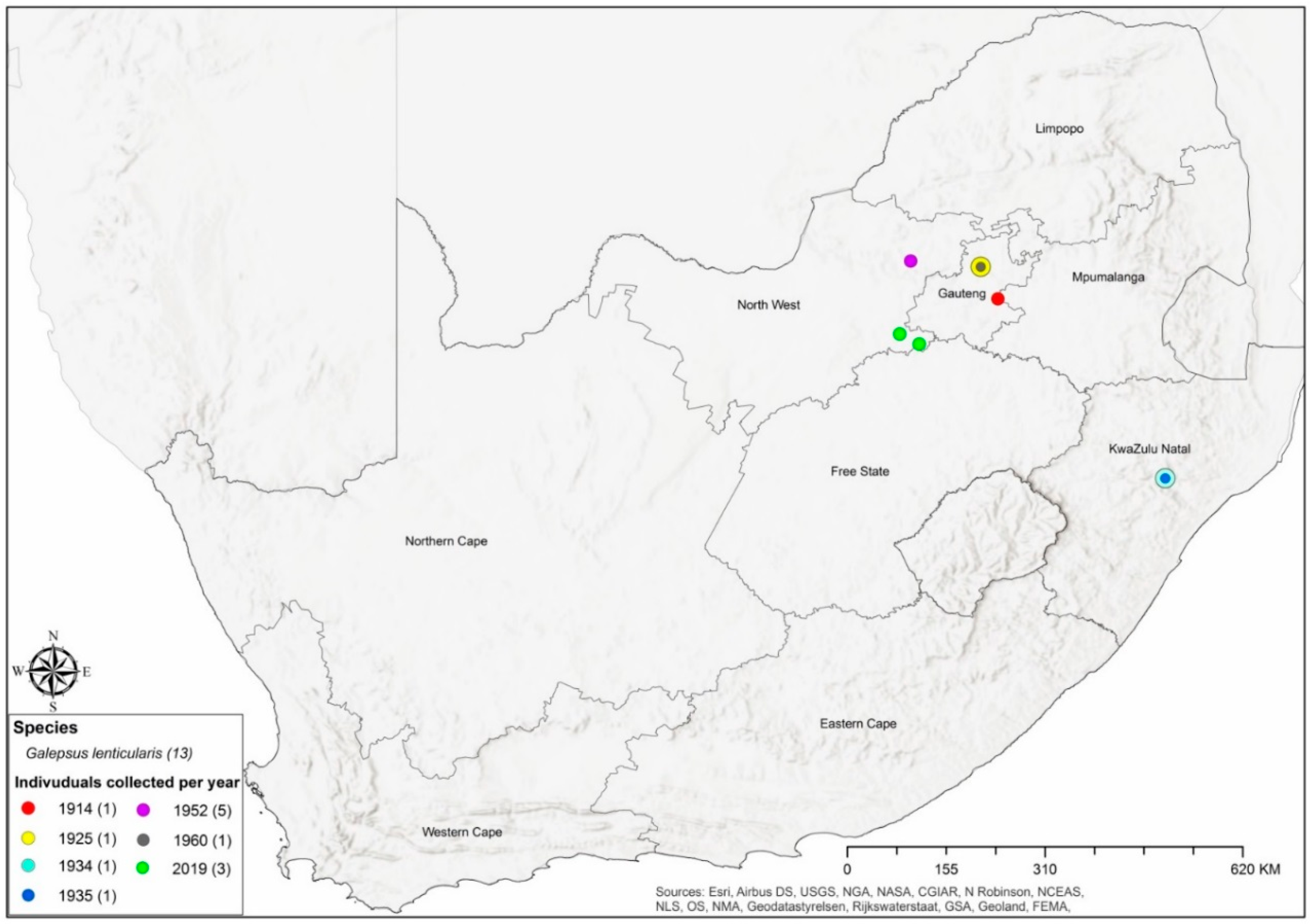 Insects 11 00119 g004