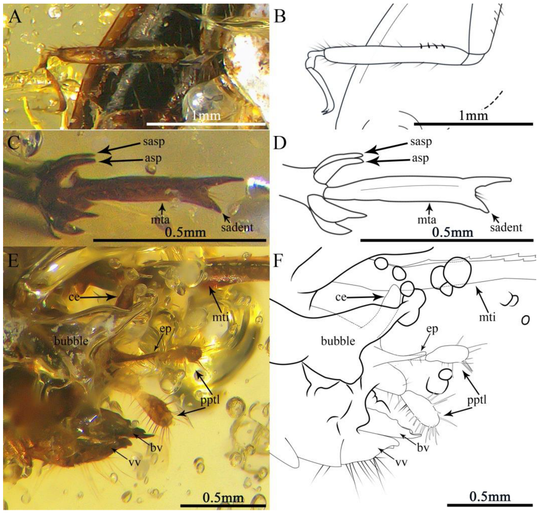 Insects 13 00979 g004 Insects 13 00979 g004