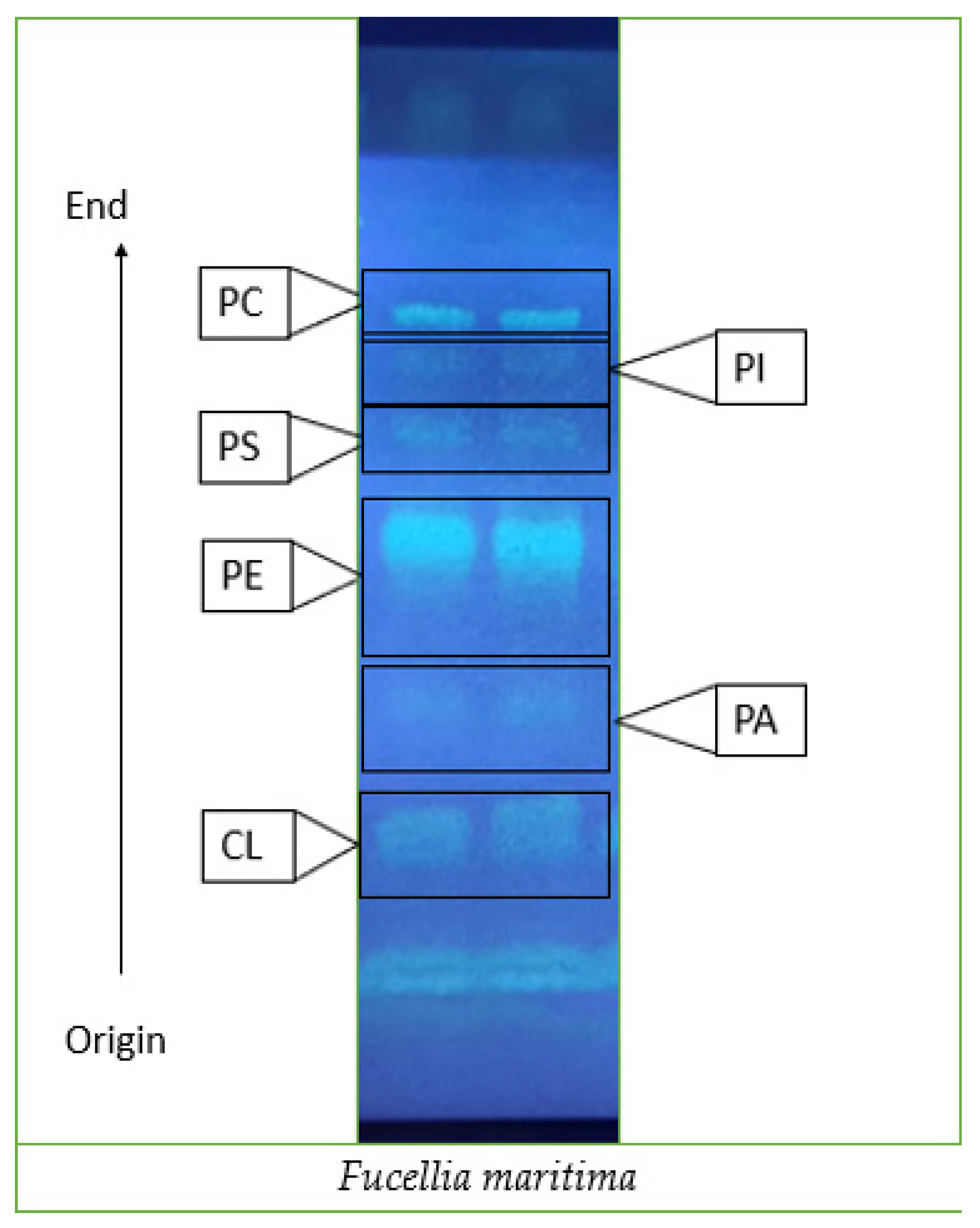 Insects 15 00163 g001
