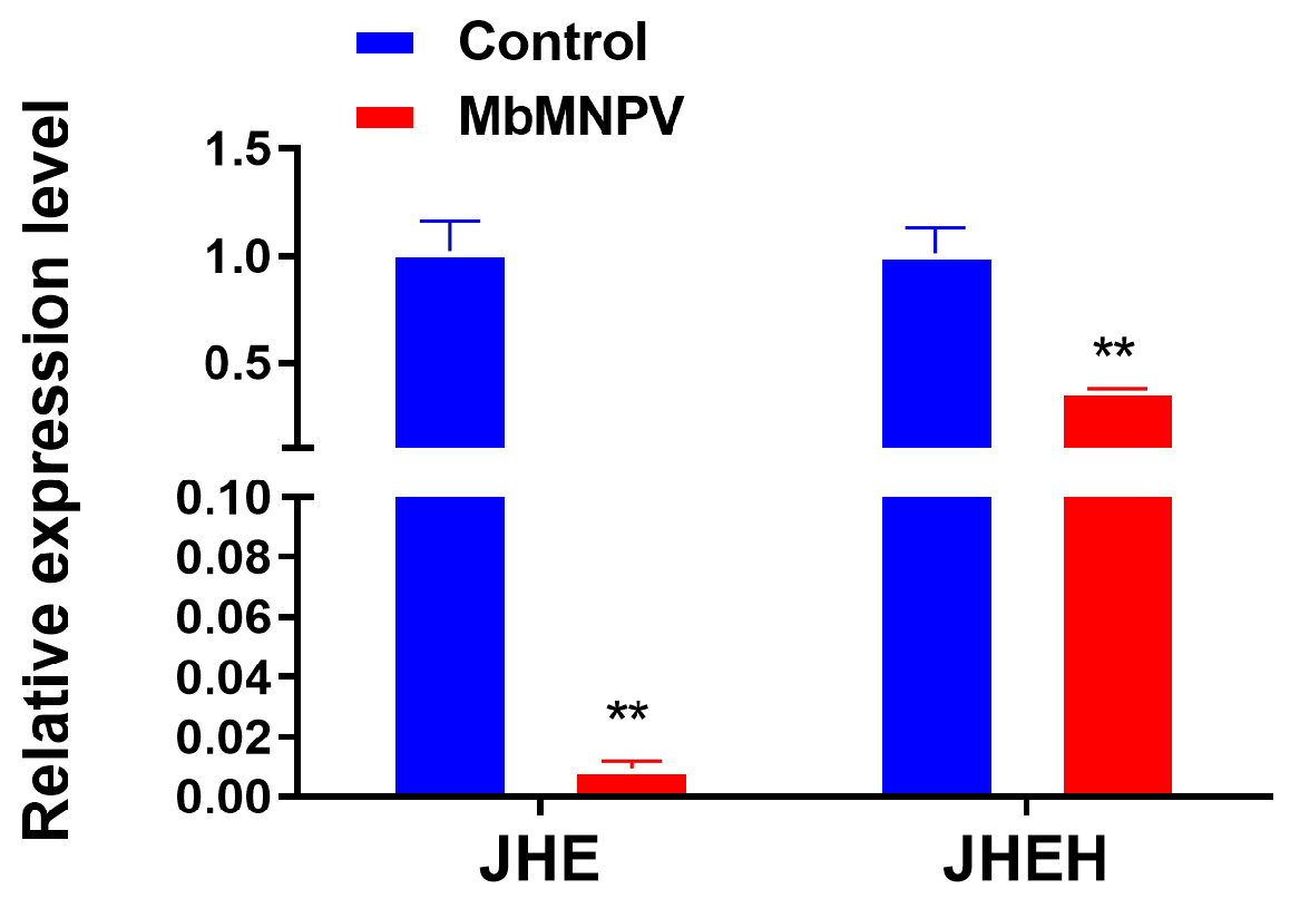 Insects 15 00202 g004