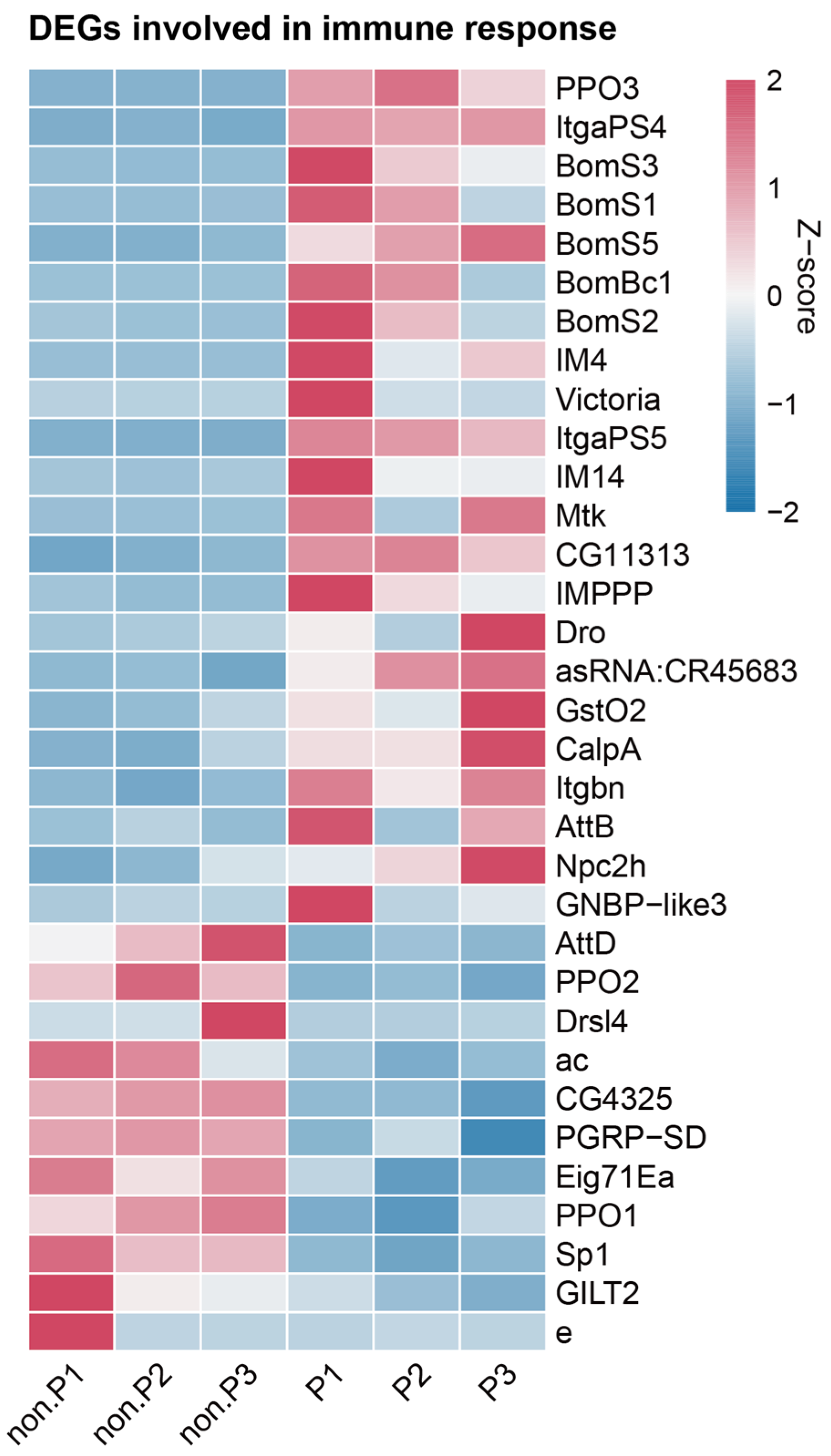 Insects 15 00352 g004