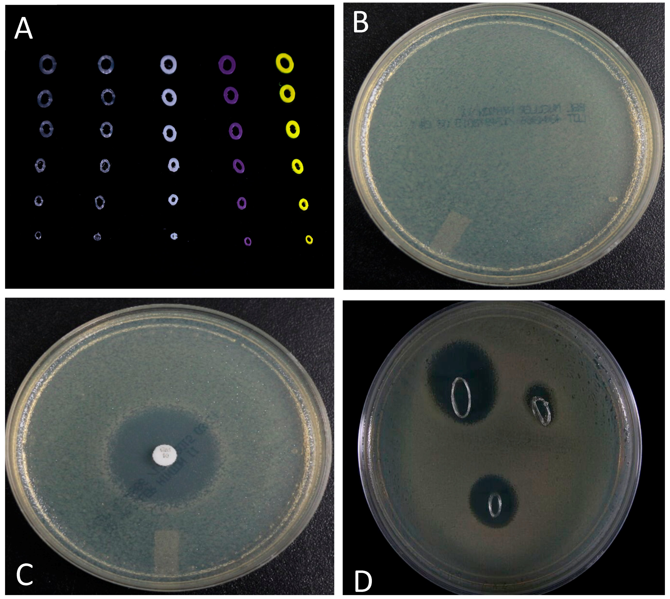 Inventions 03 00001 g005