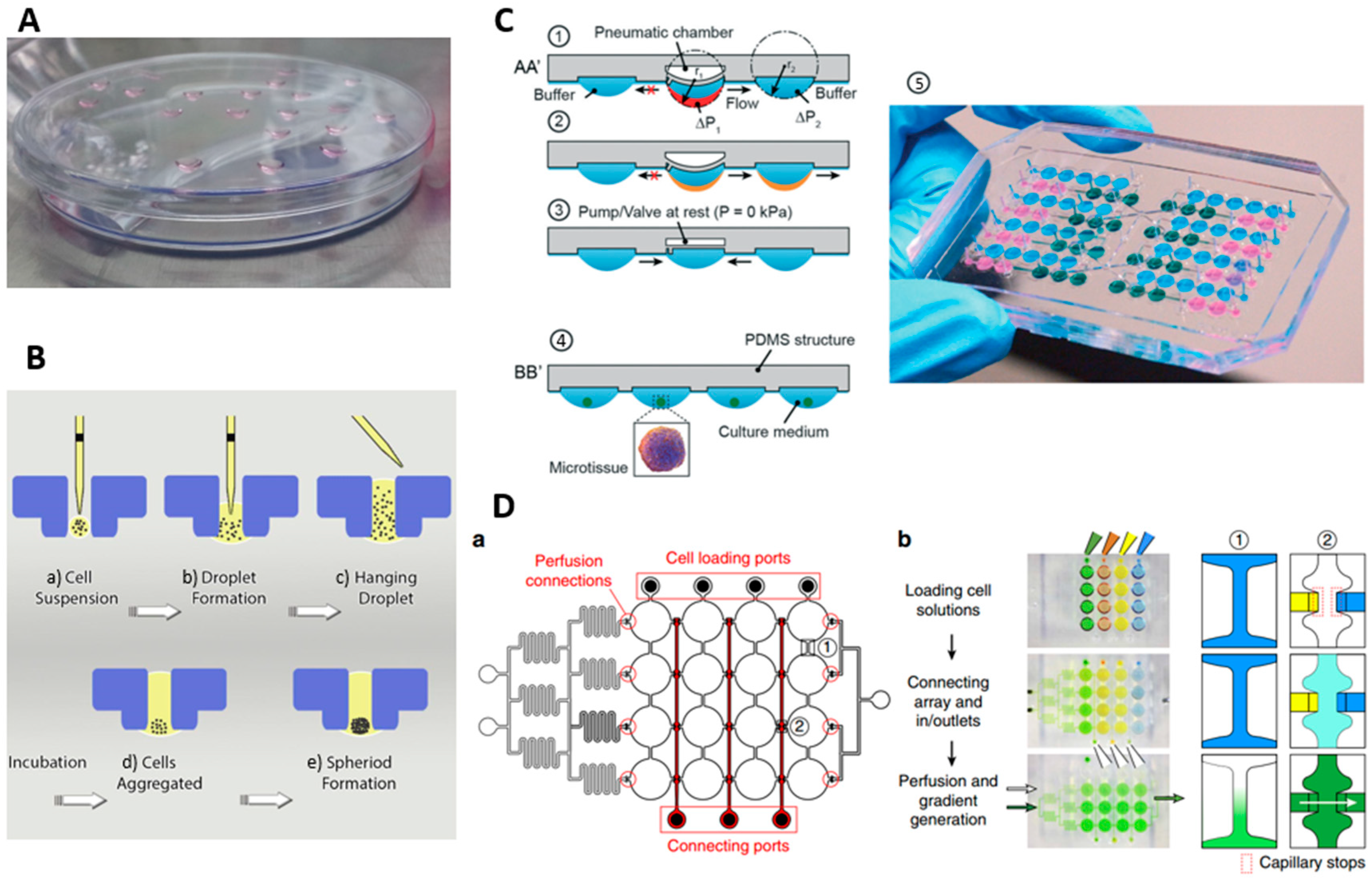 Inventions 03 00043 g003