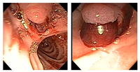 Jcm 01 00015 g001 200