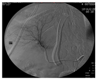 Jcm 01 00015 g002 200