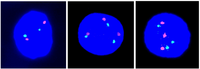 Jcm 03 00167 g001 200