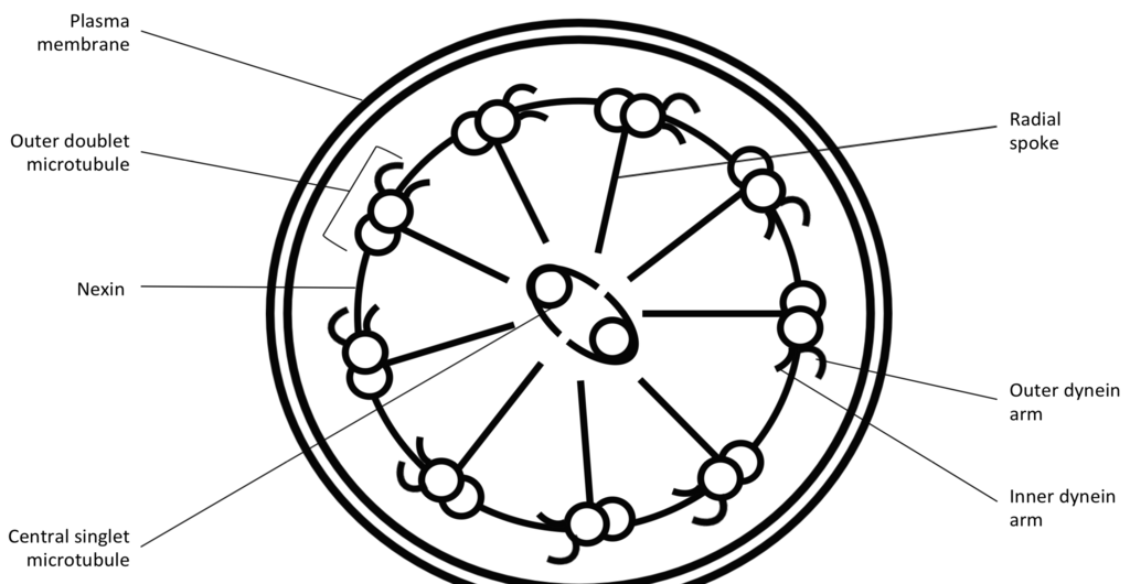 Jcm 03 00491 g001 1024