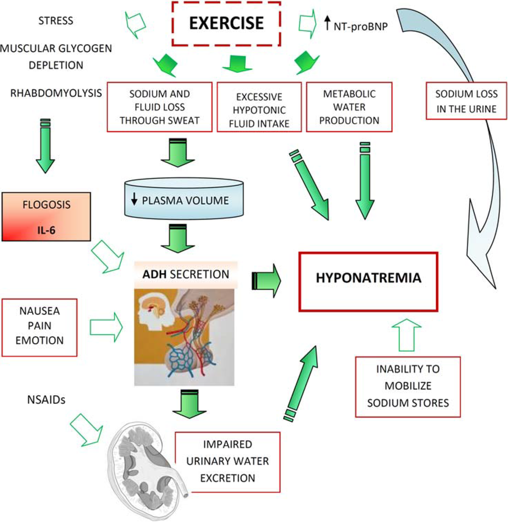 online medical terminology a programmed learning approach to the language of health care 2nd