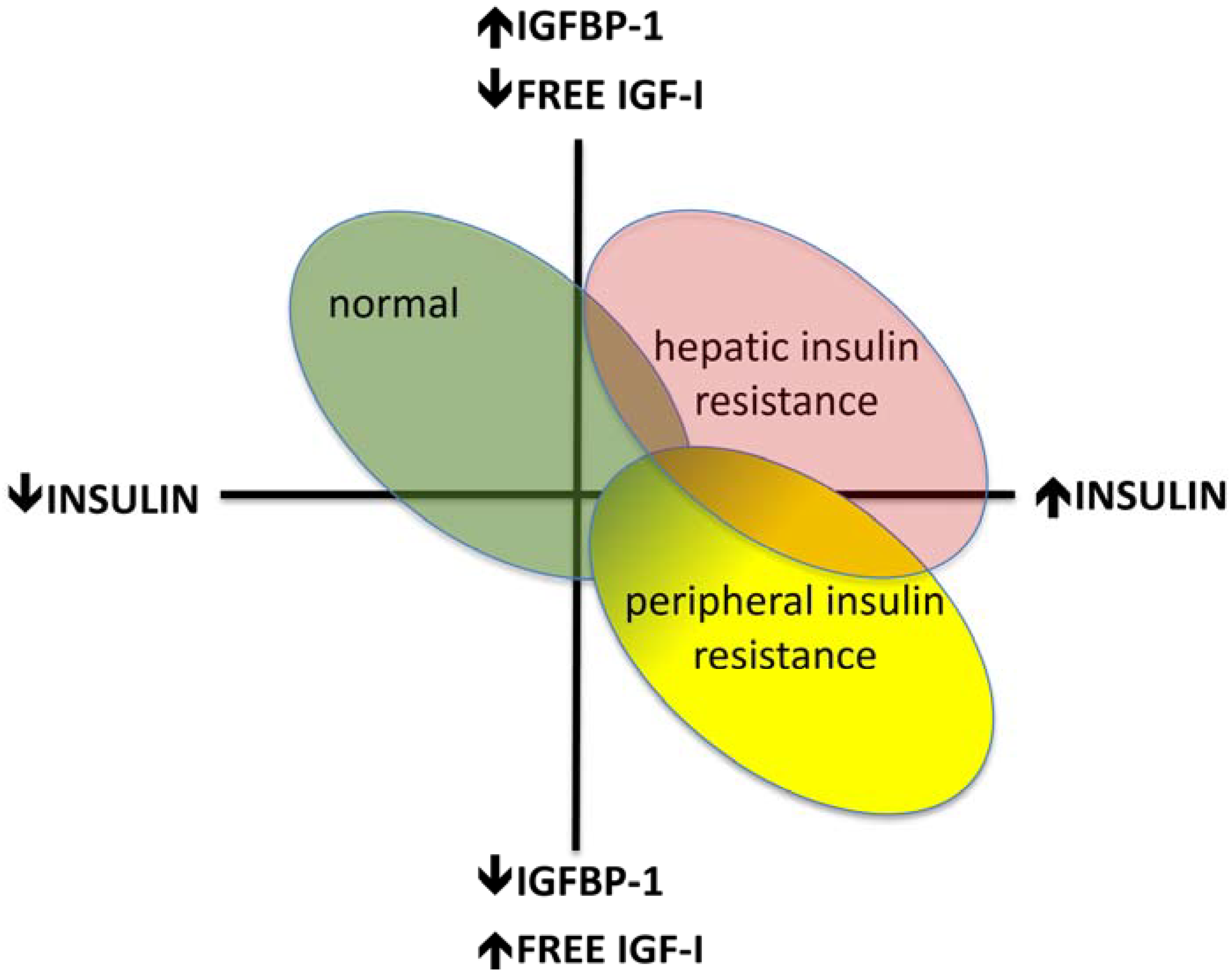 JCM Free FullText The InsulinLike Growth Factor System in Obesity