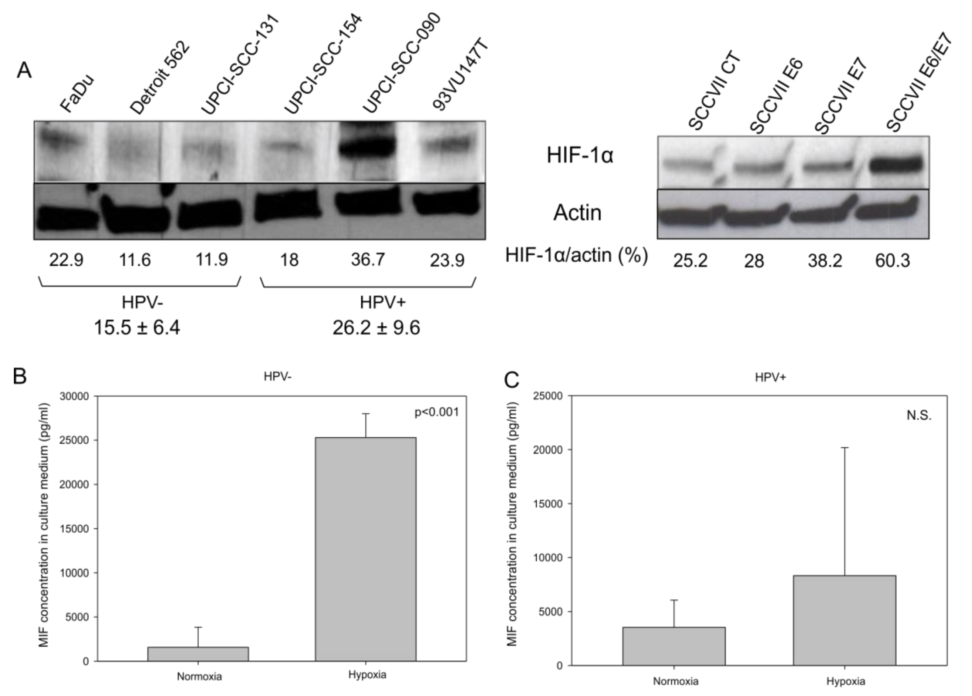 Jcm 08 00075 g005 Jcm 08 00075 g005