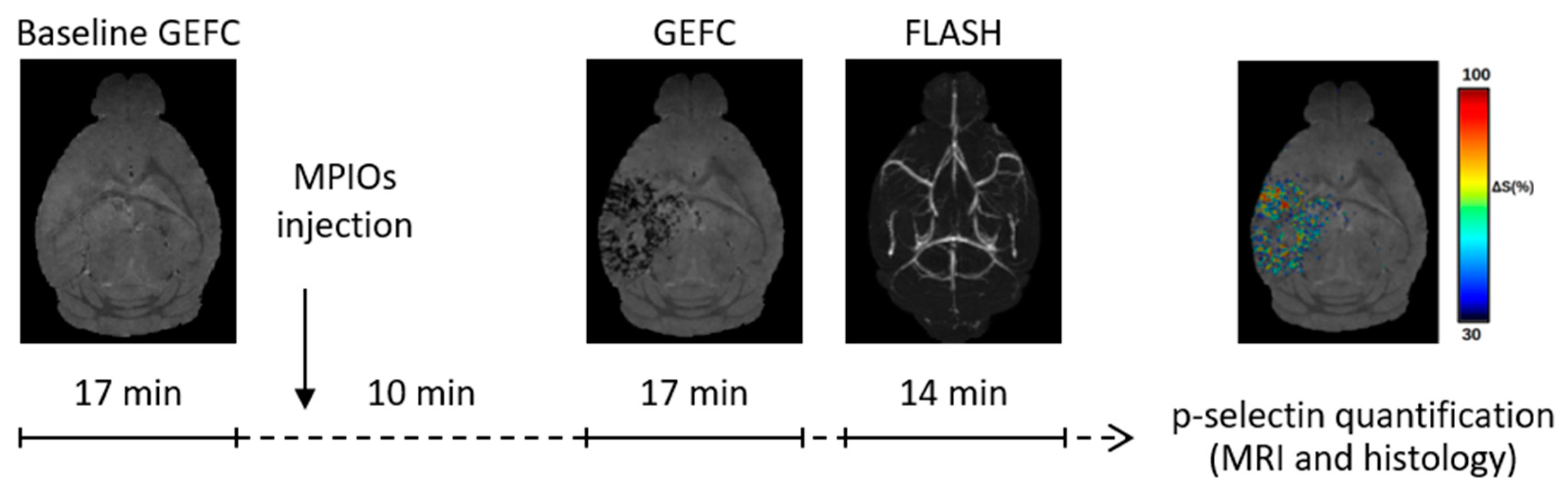 Jcm 08 01134 g001 Jcm 08 01134 g001