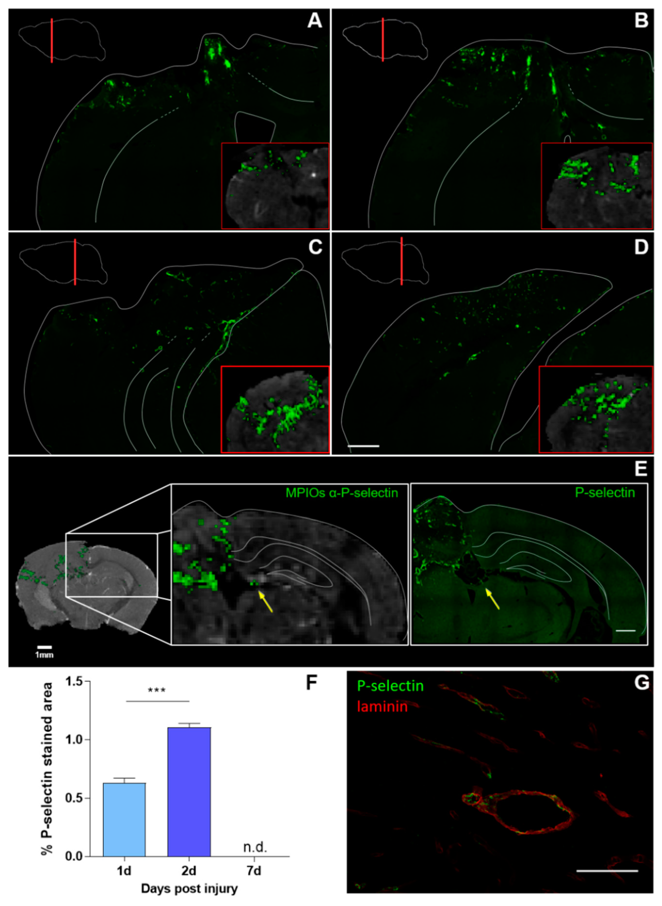 Jcm 08 01134 g003 Jcm 08 01134 g003