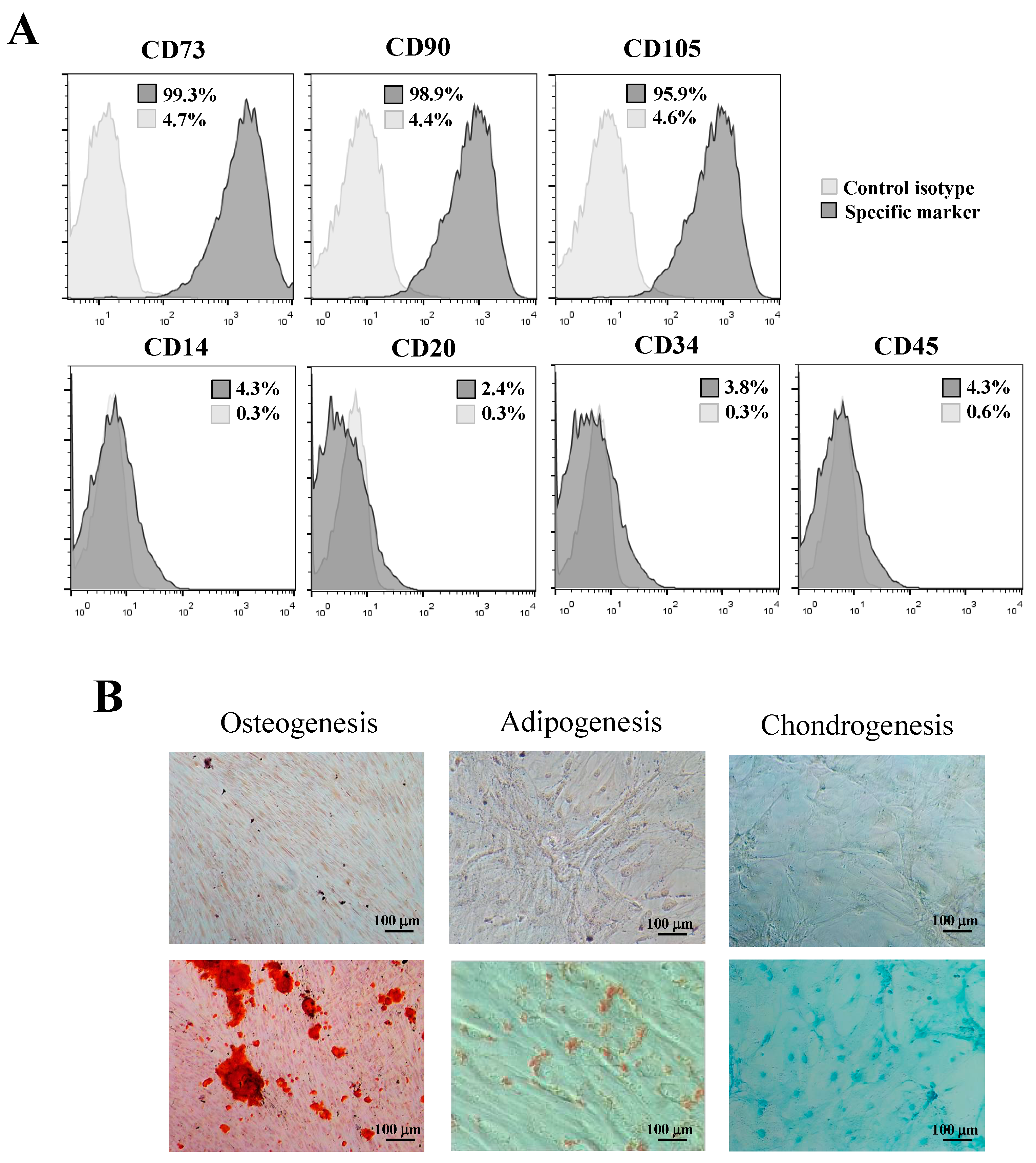 Jcm 08 01216 g001 Jcm 08 01216 g001